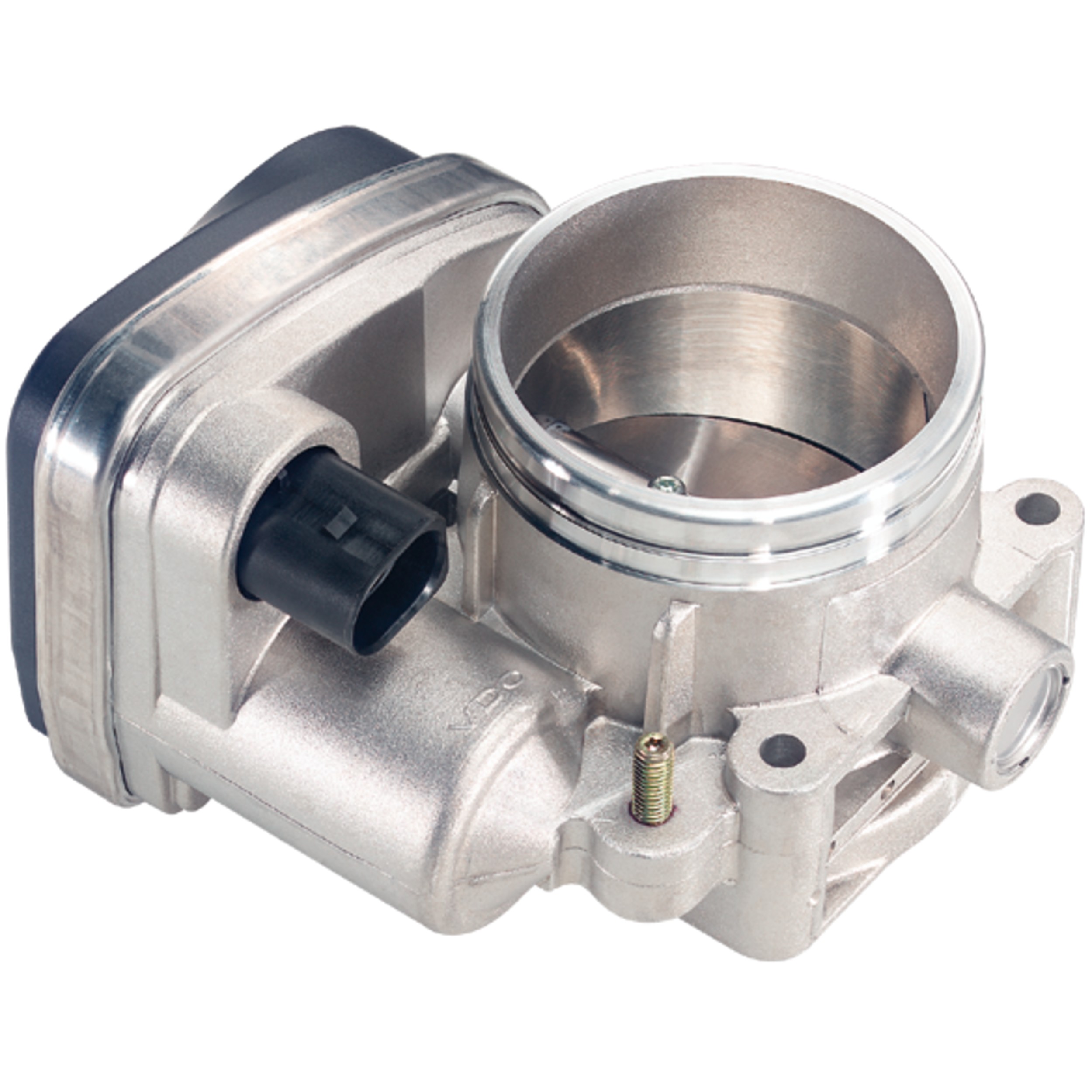 Fuel Injection Throttle Body Assembly
