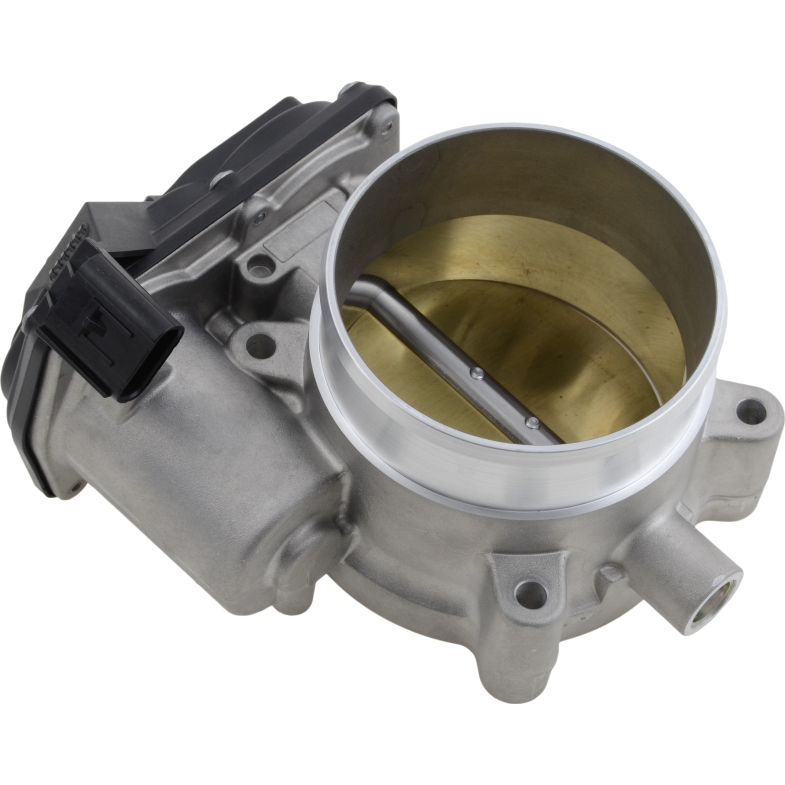 Fuel Injection Throttle Body Assembly