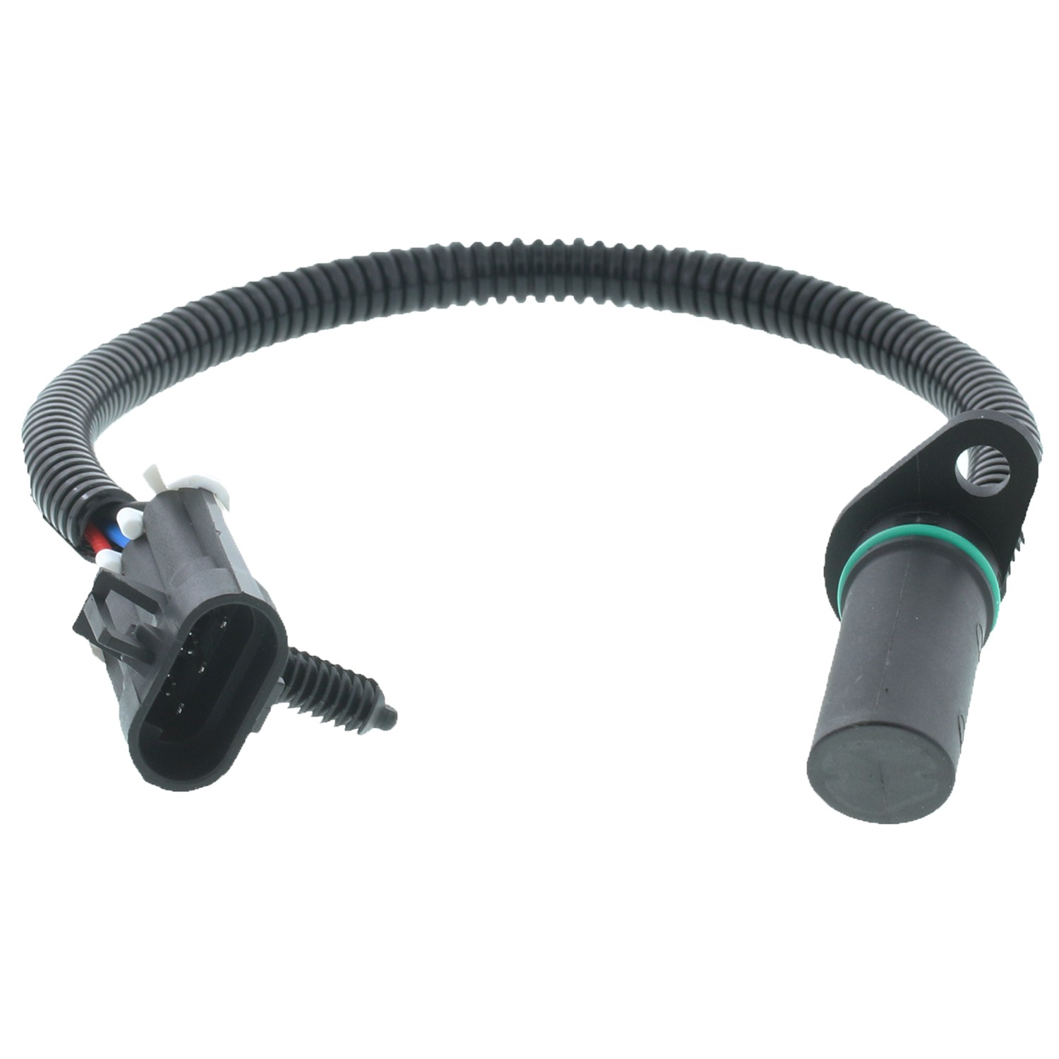 Engine Camshaft Position Sensor