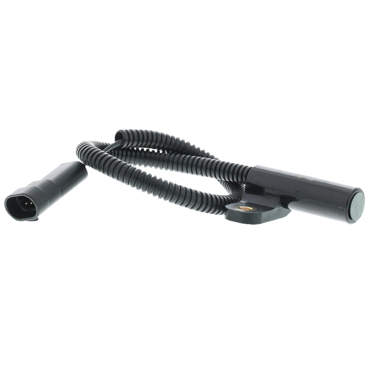 Engine Crankshaft Position Sensor