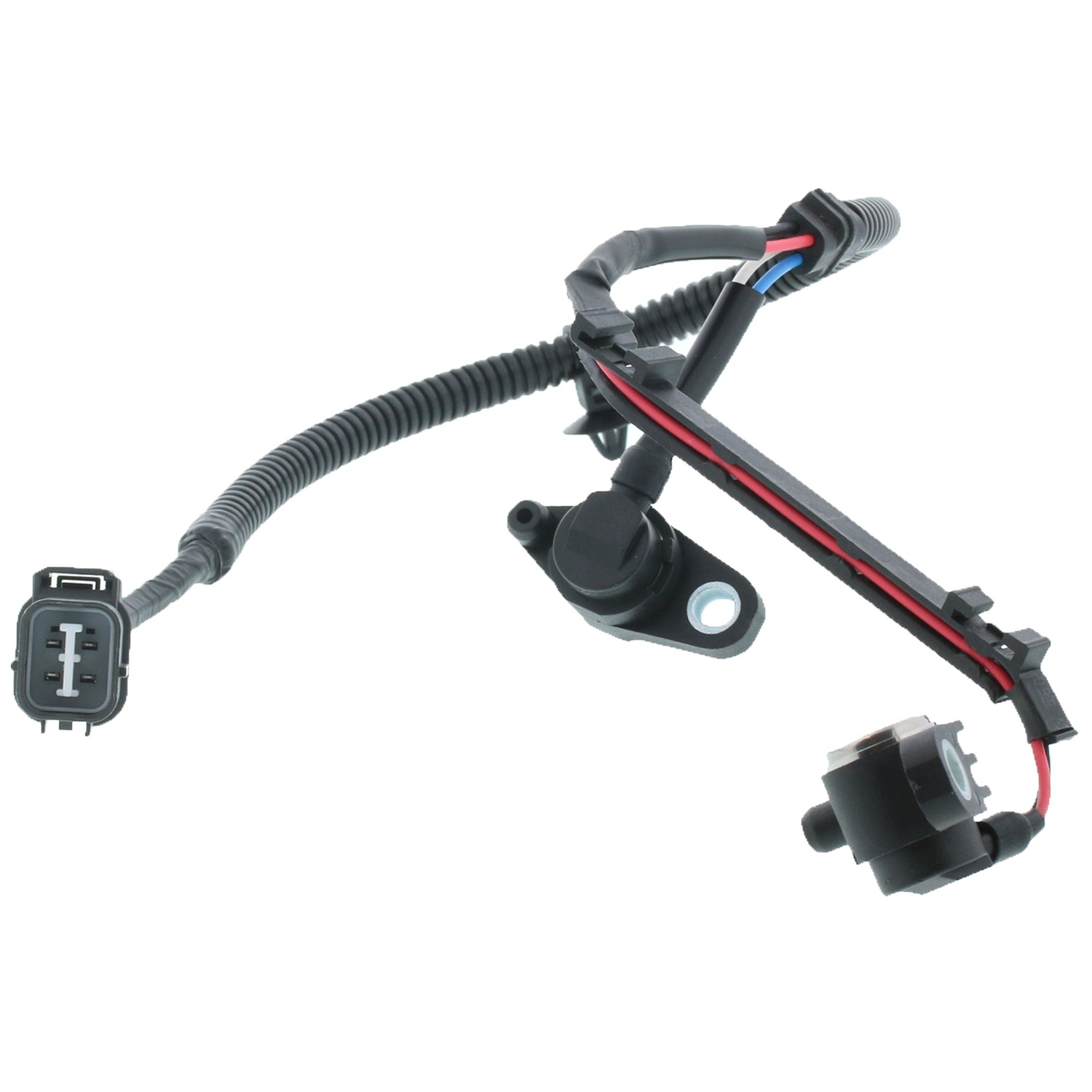 Engine Crankshaft Position Sensor