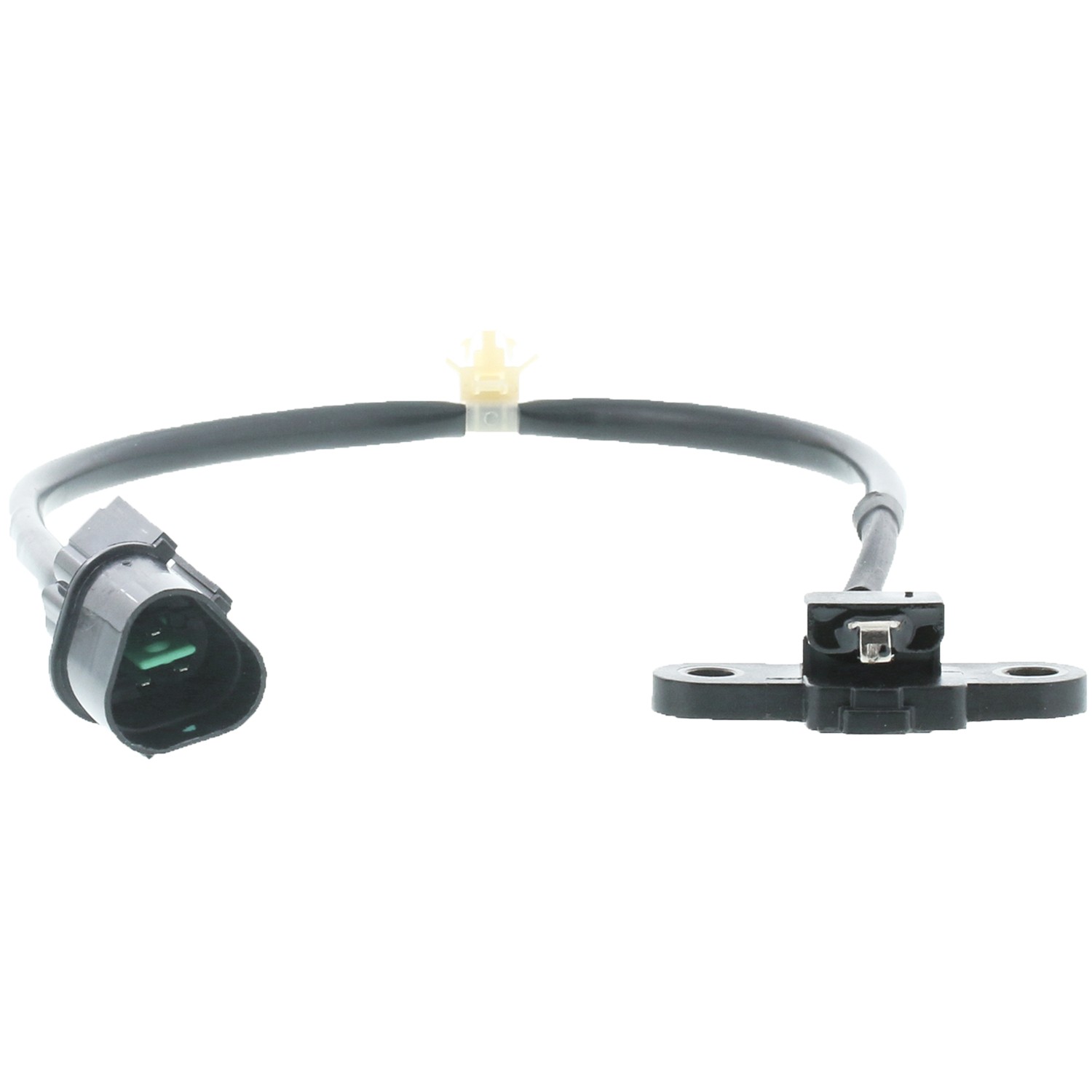 Engine Crankshaft Position Sensor