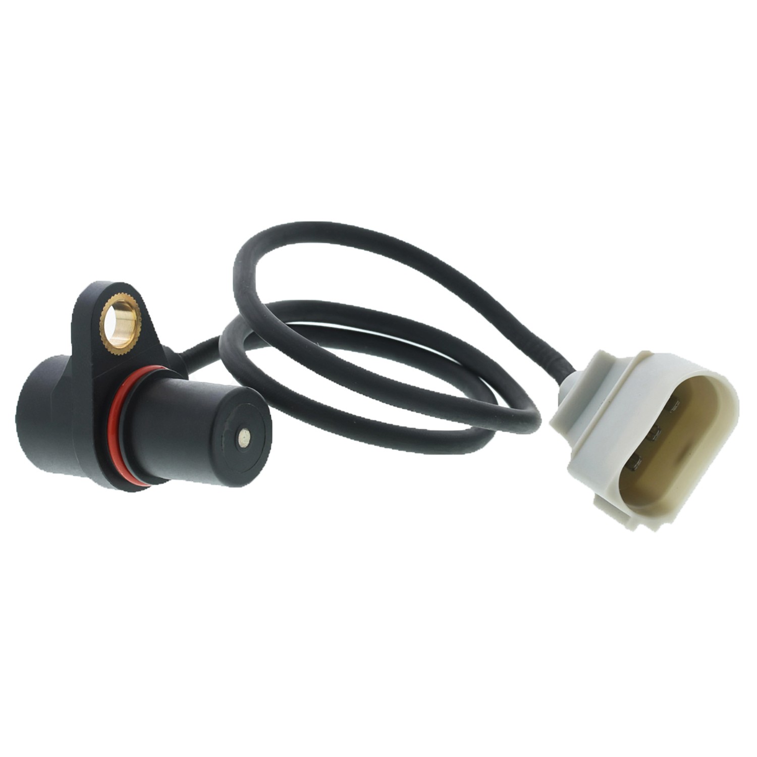 Engine Crankshaft Position Sensor