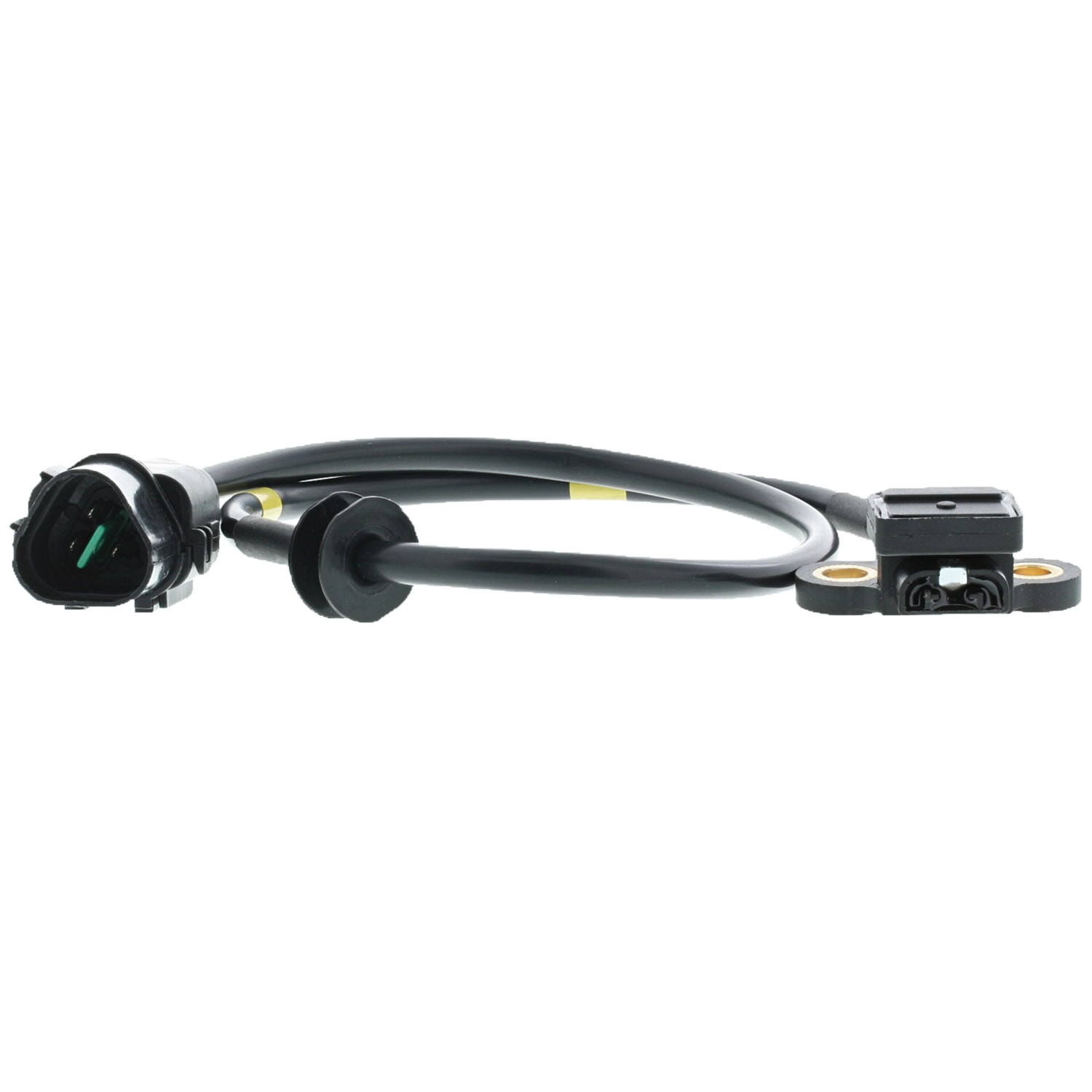Engine Crankshaft Position Sensor