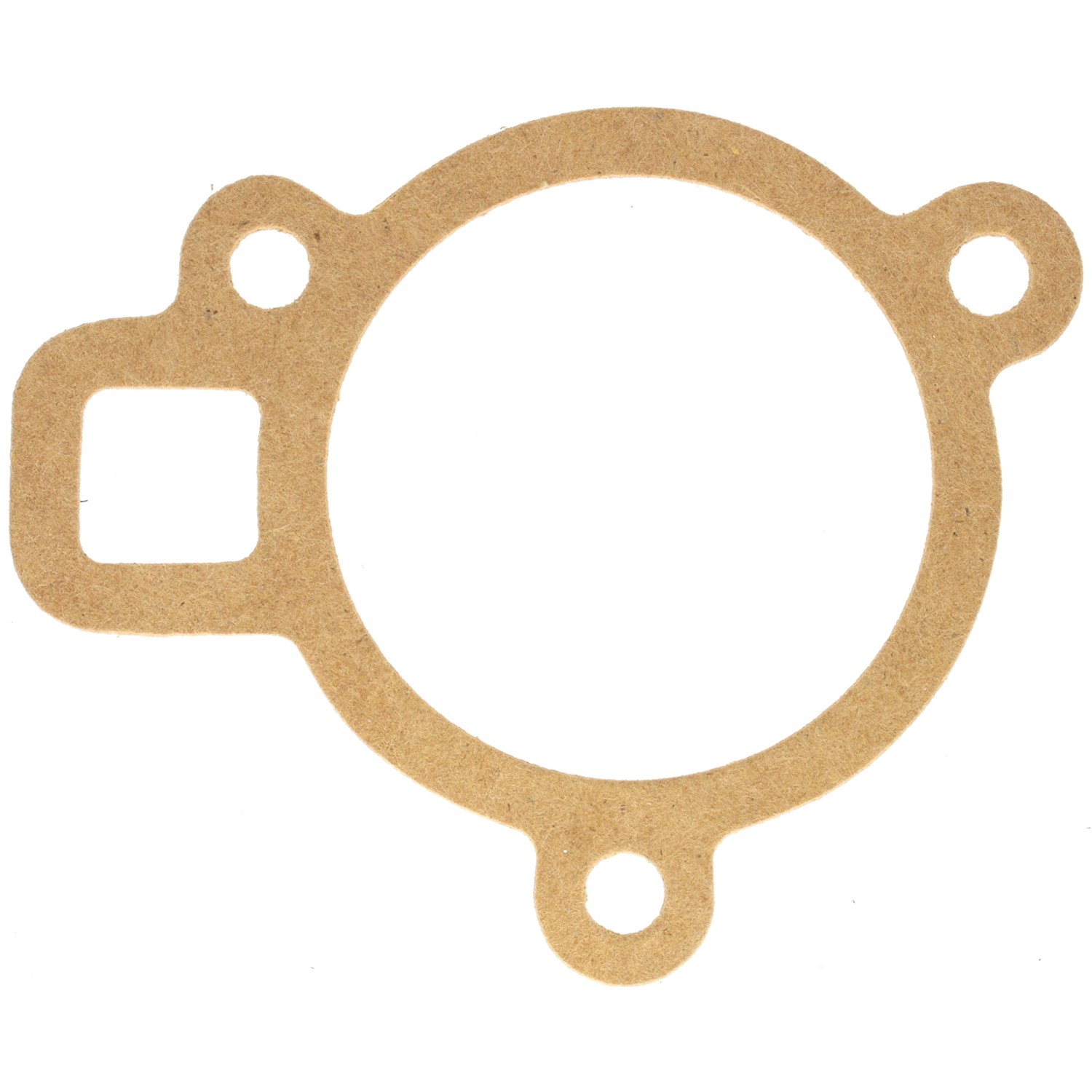 Engine Coolant Thermostat Gasket