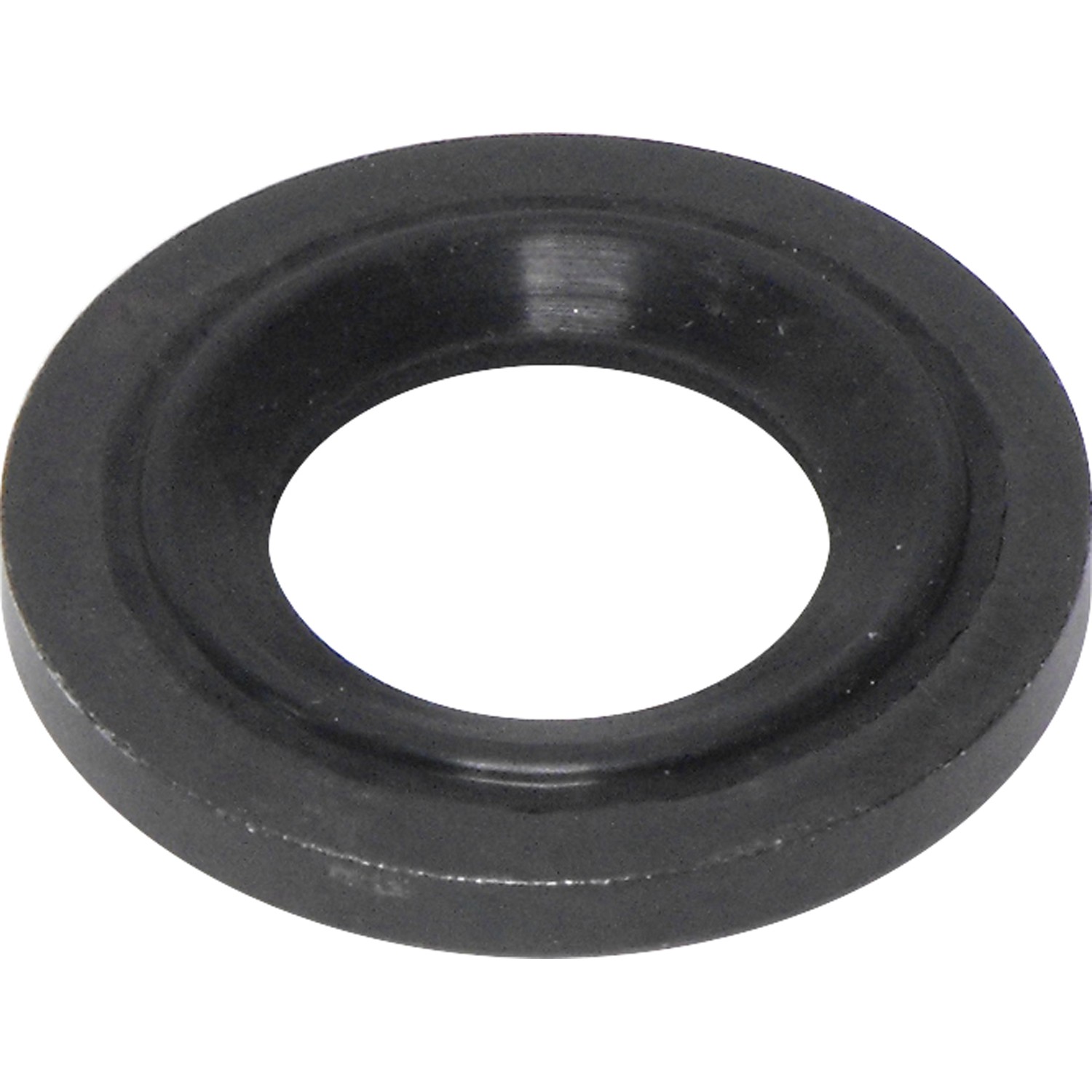 Seal Ring / Washer