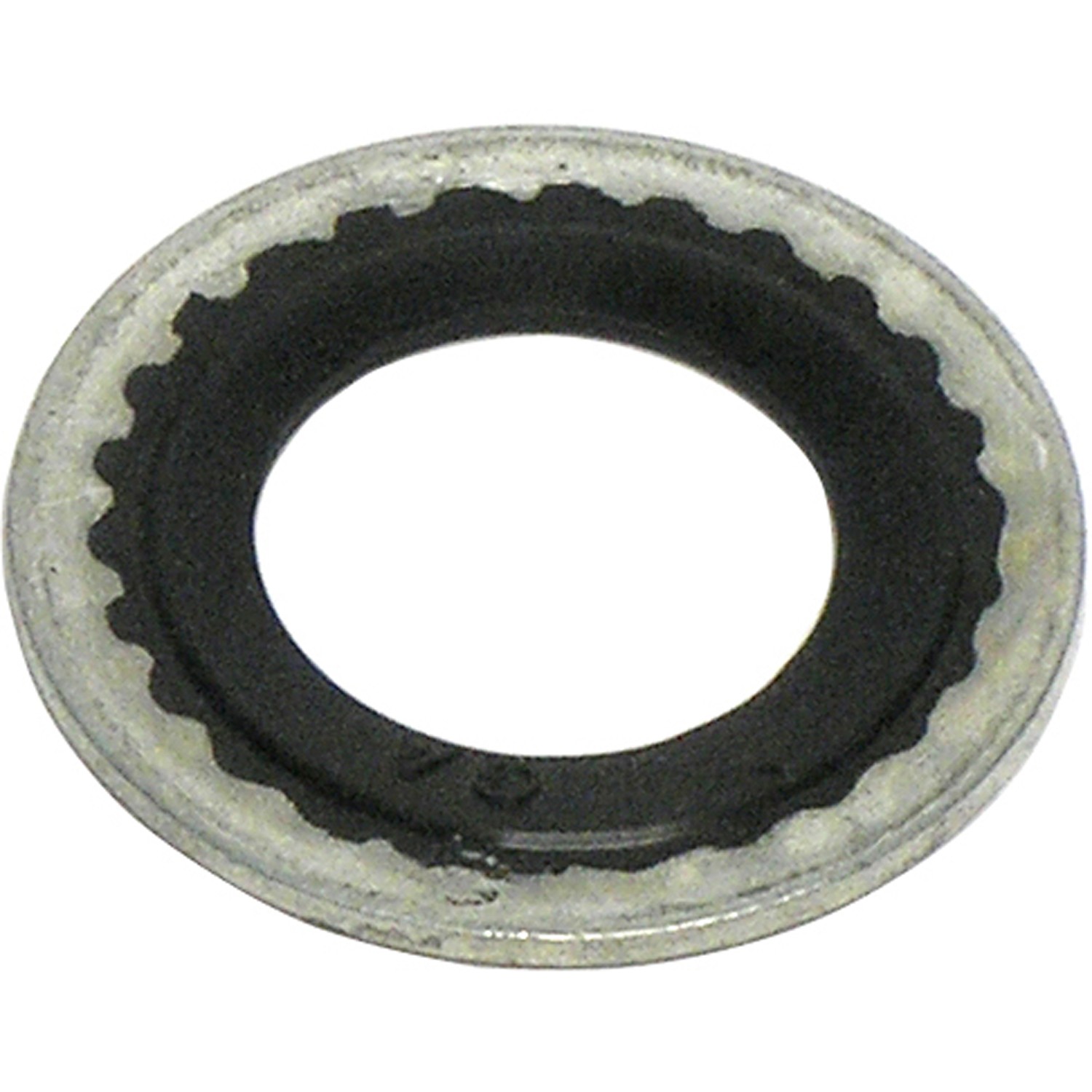 Seal Ring / Washer