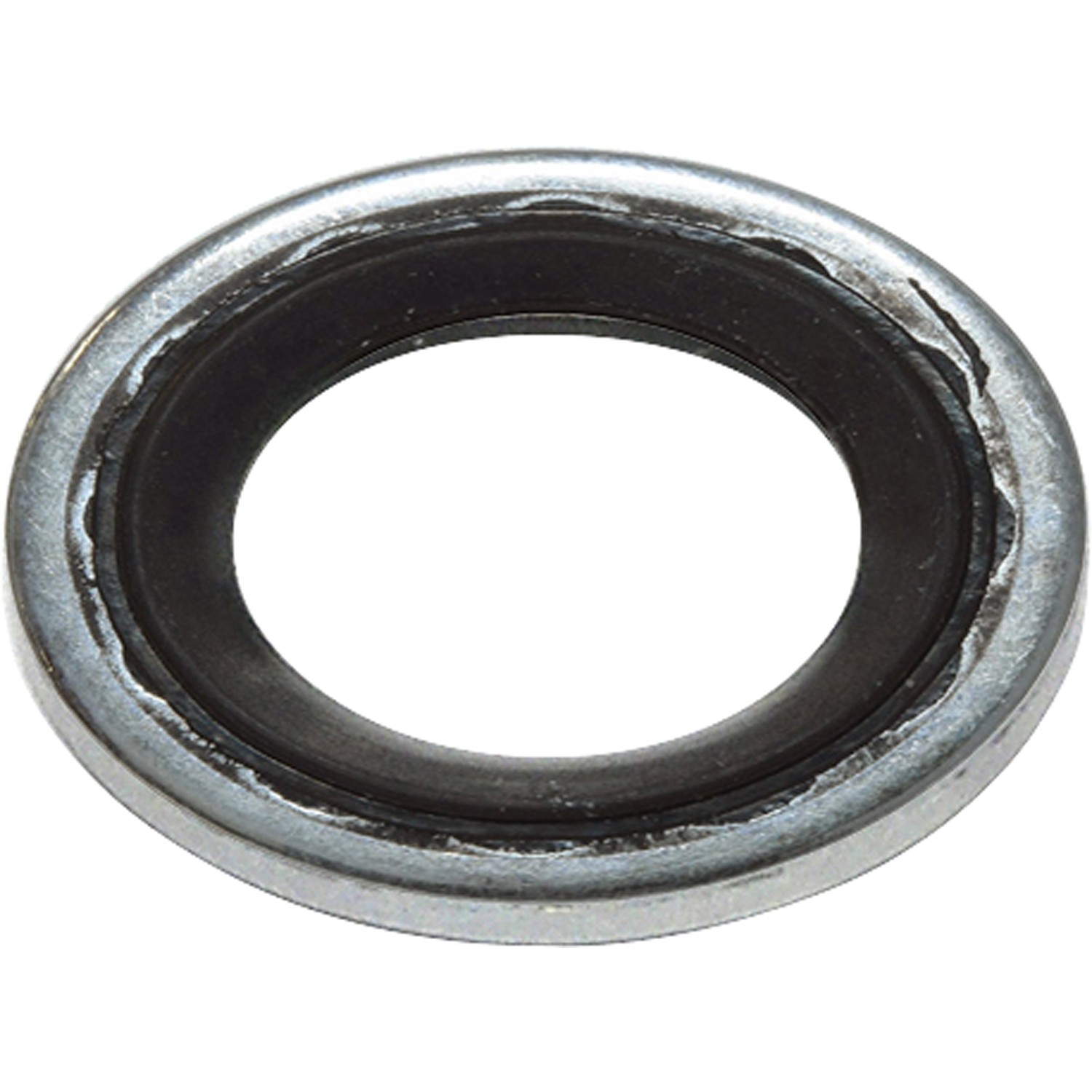 Seal Ring / Washer