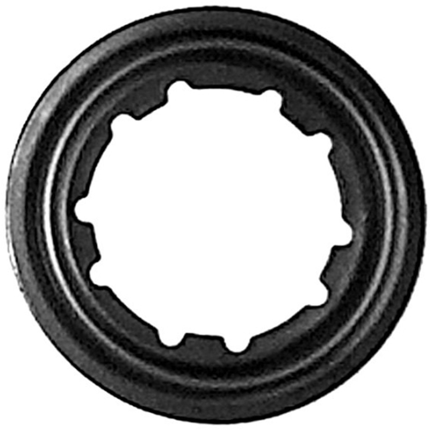 Seal Ring / Washer