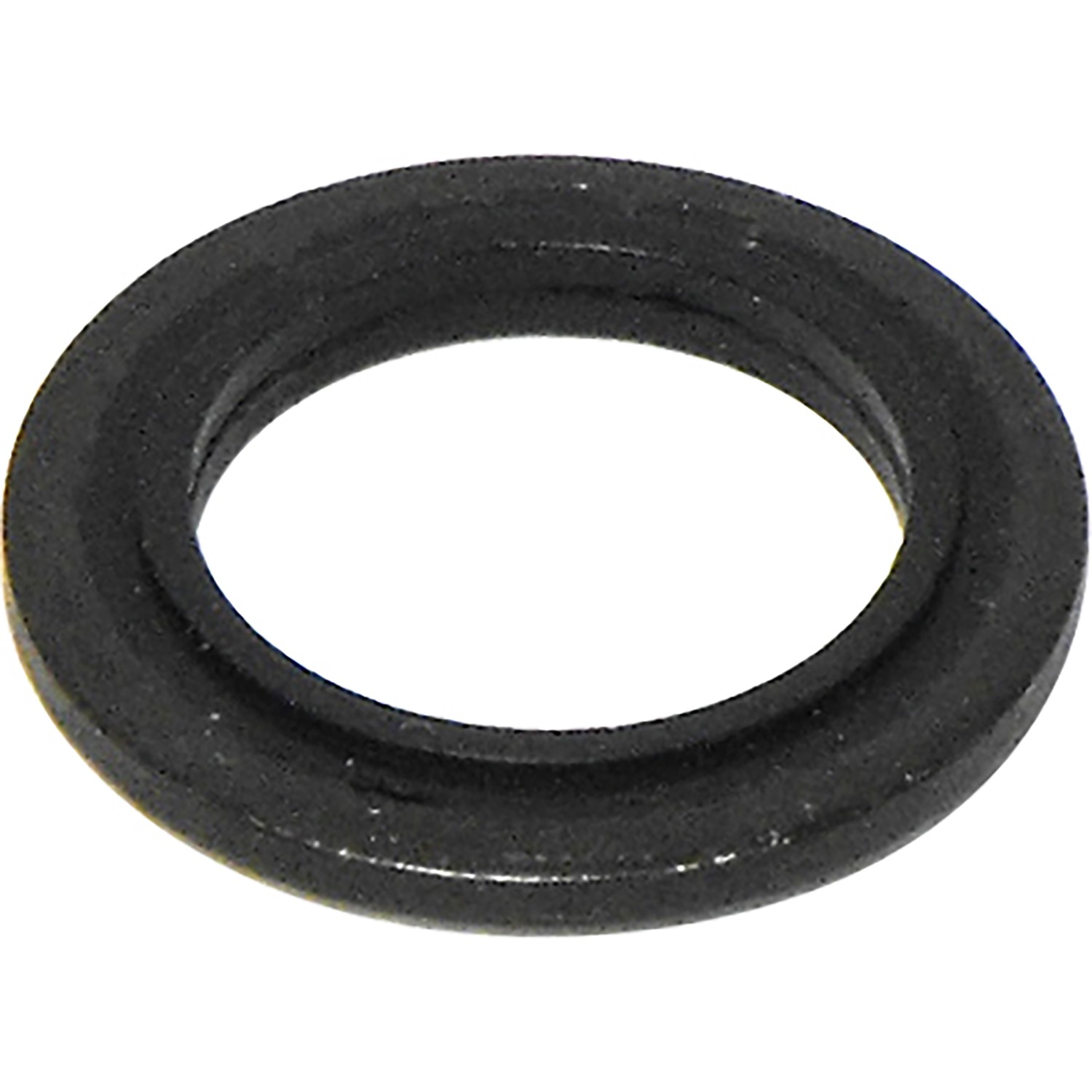 Seal Ring / Washer