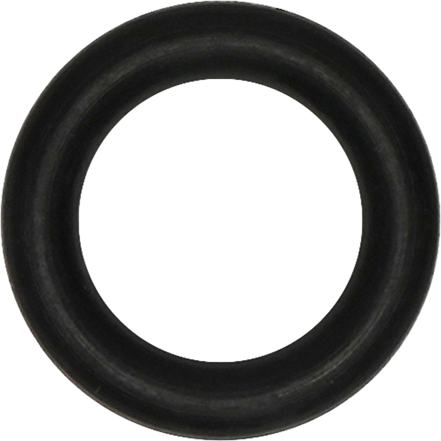Seal Ring / Washer