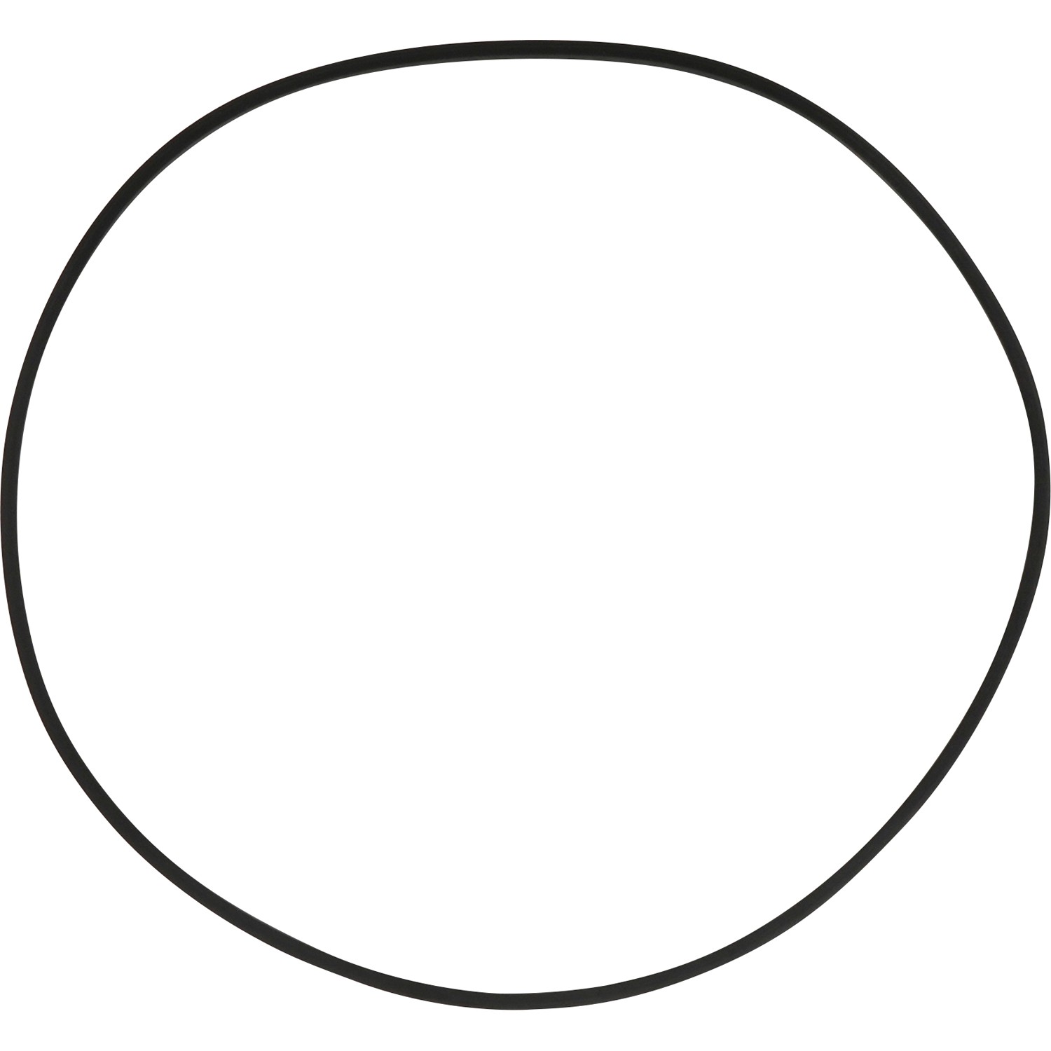Seal Ring / Washer