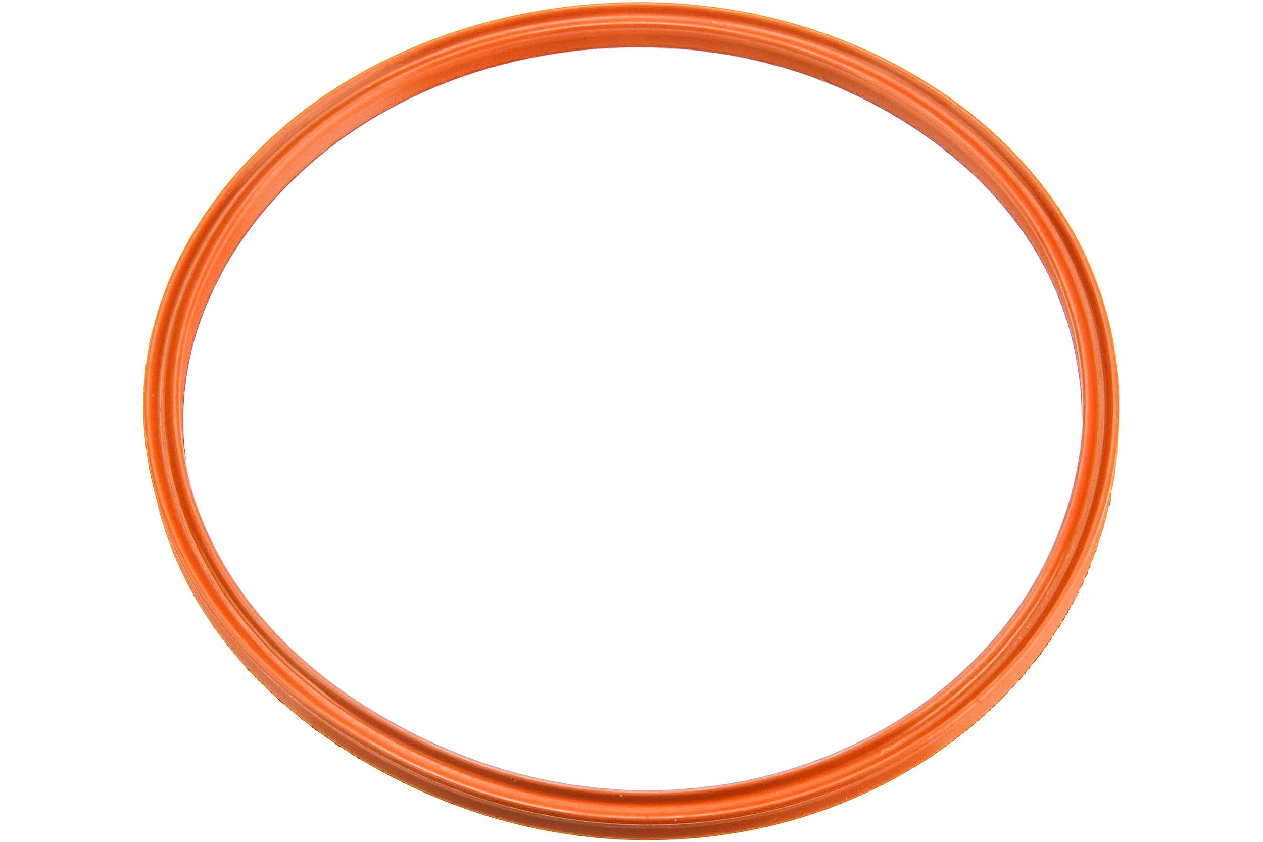 Fuel Pump/Filter O-Ring