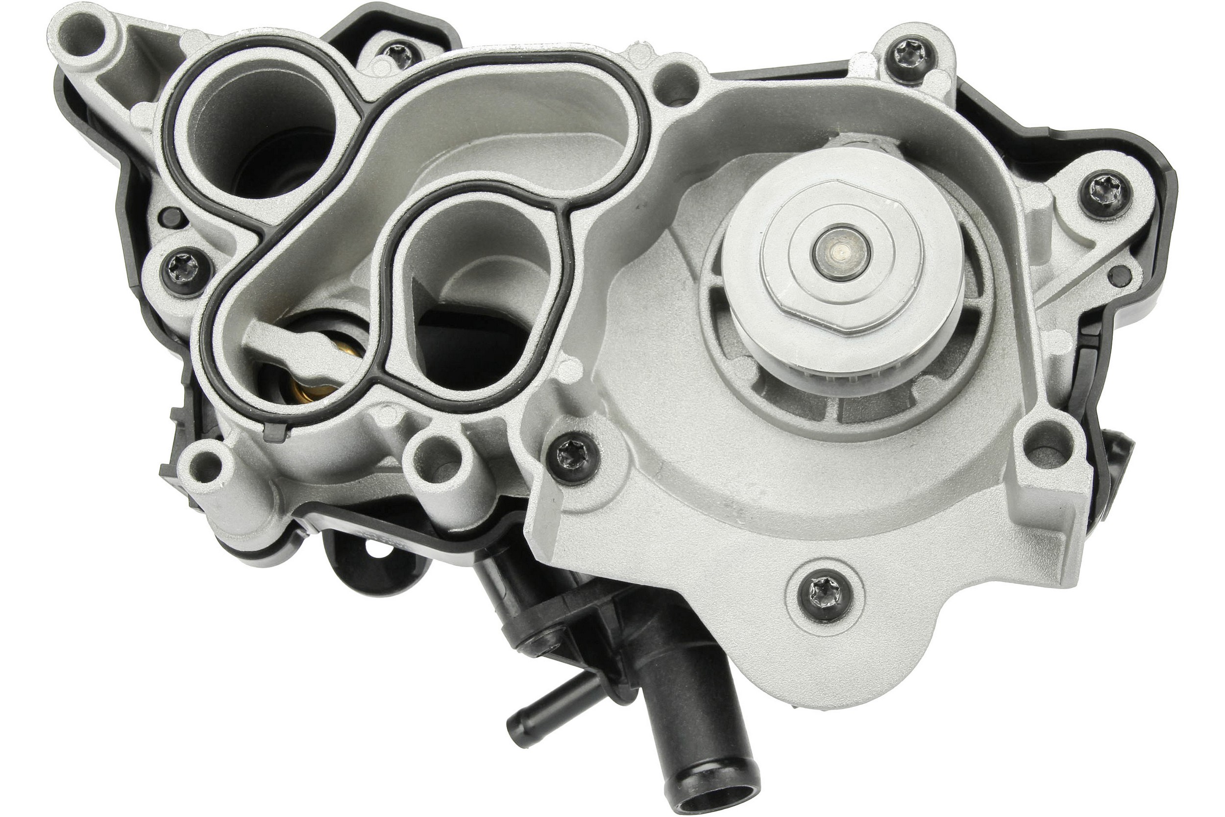 Water Pump and Thermostat Assembly