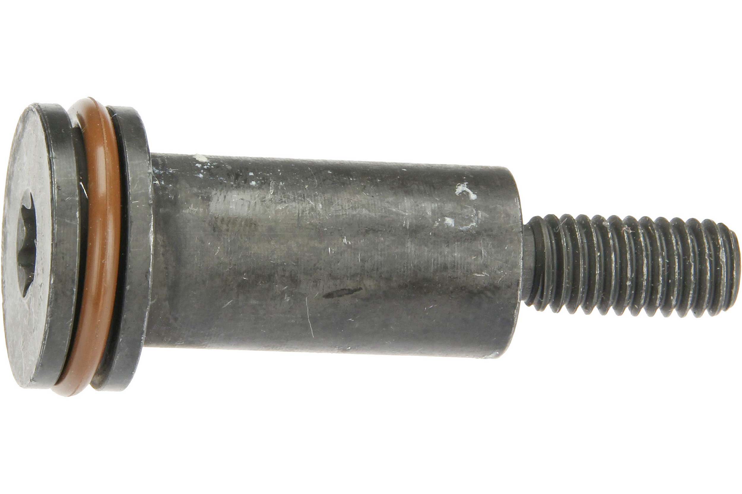 Timing Chain Guide Bolt