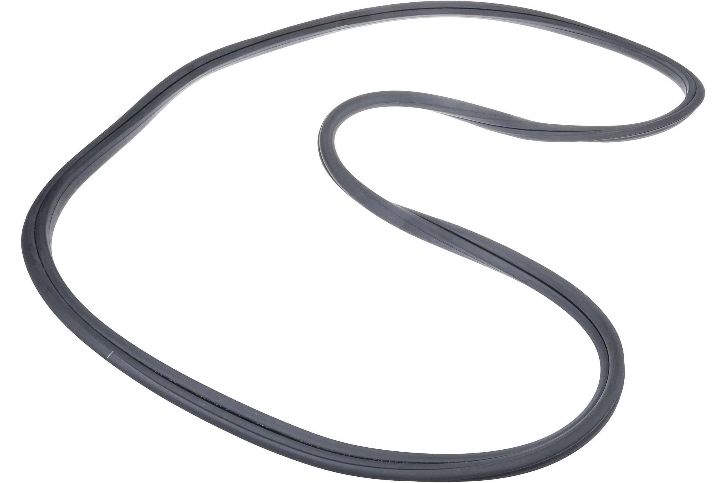 Windshield Seal