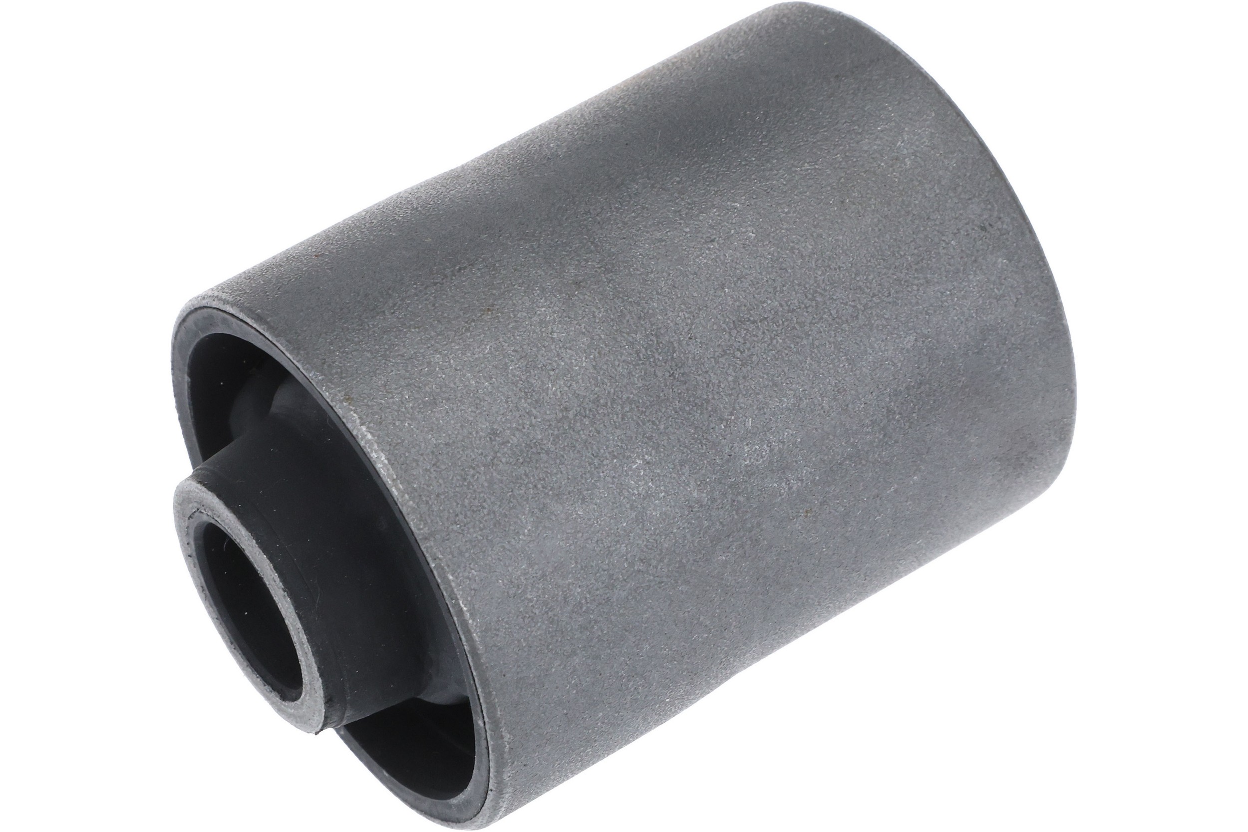 Trailing Arm Bushing