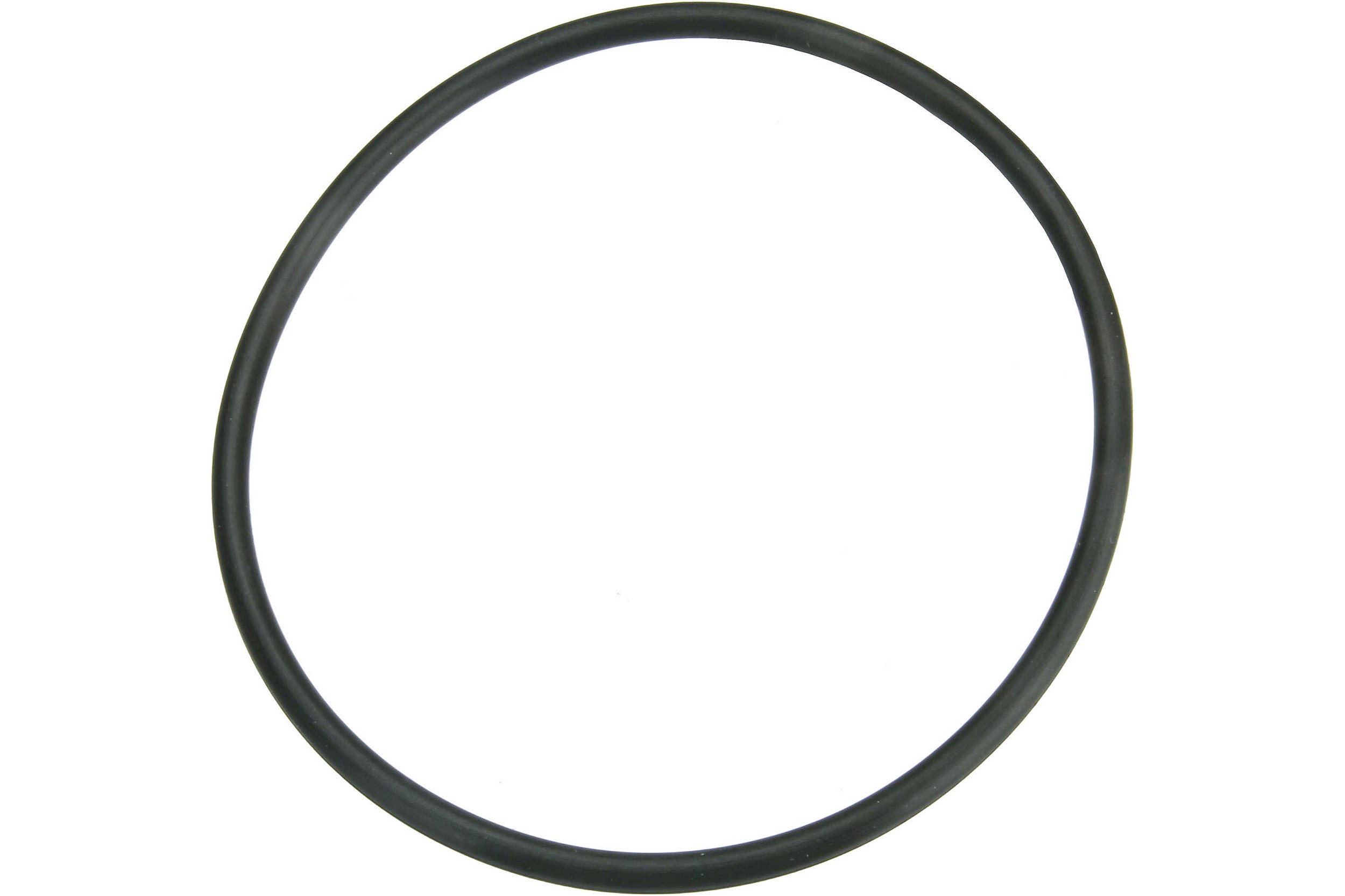 Fuel Pump Assembly O-Ring