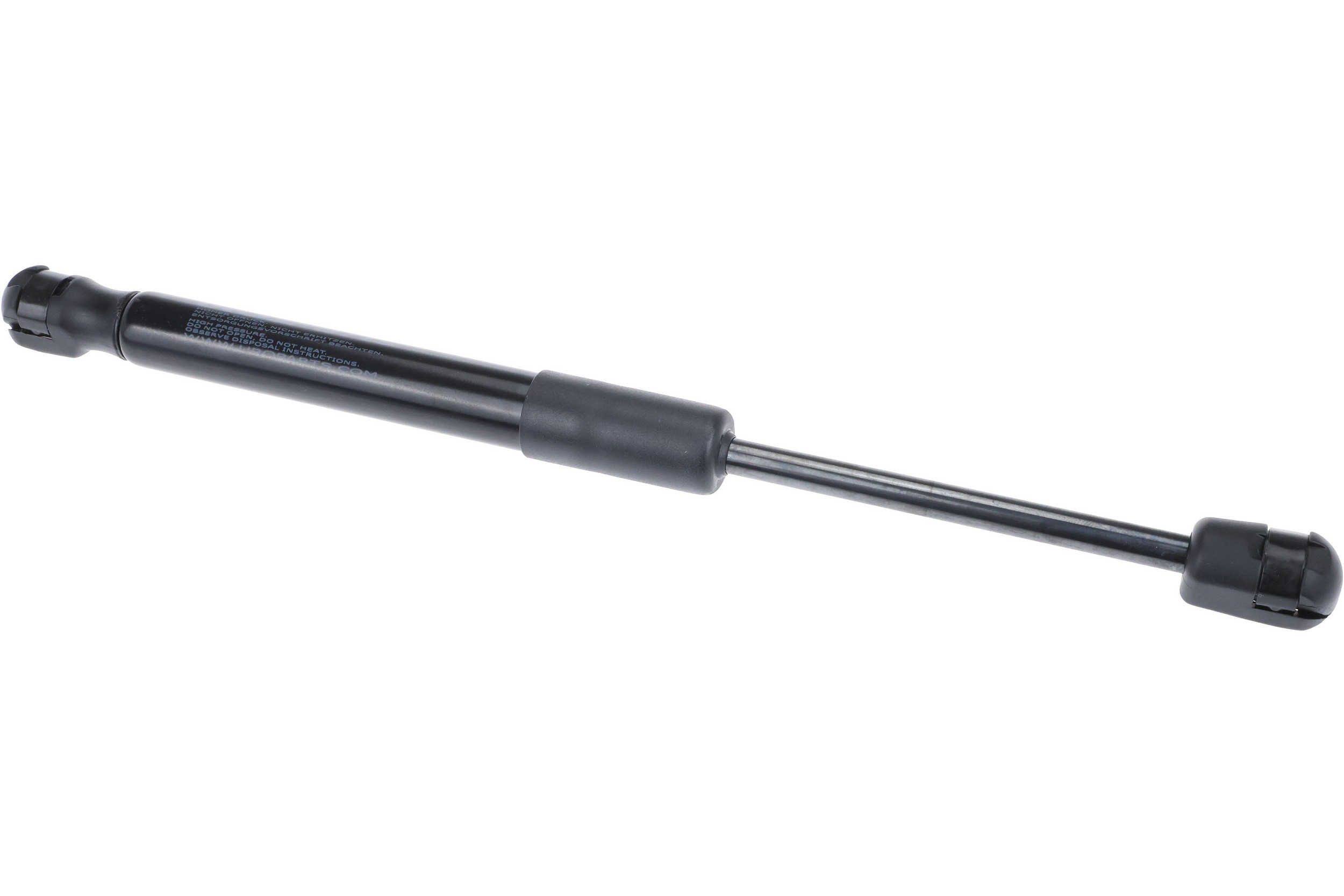 Trunk Strut