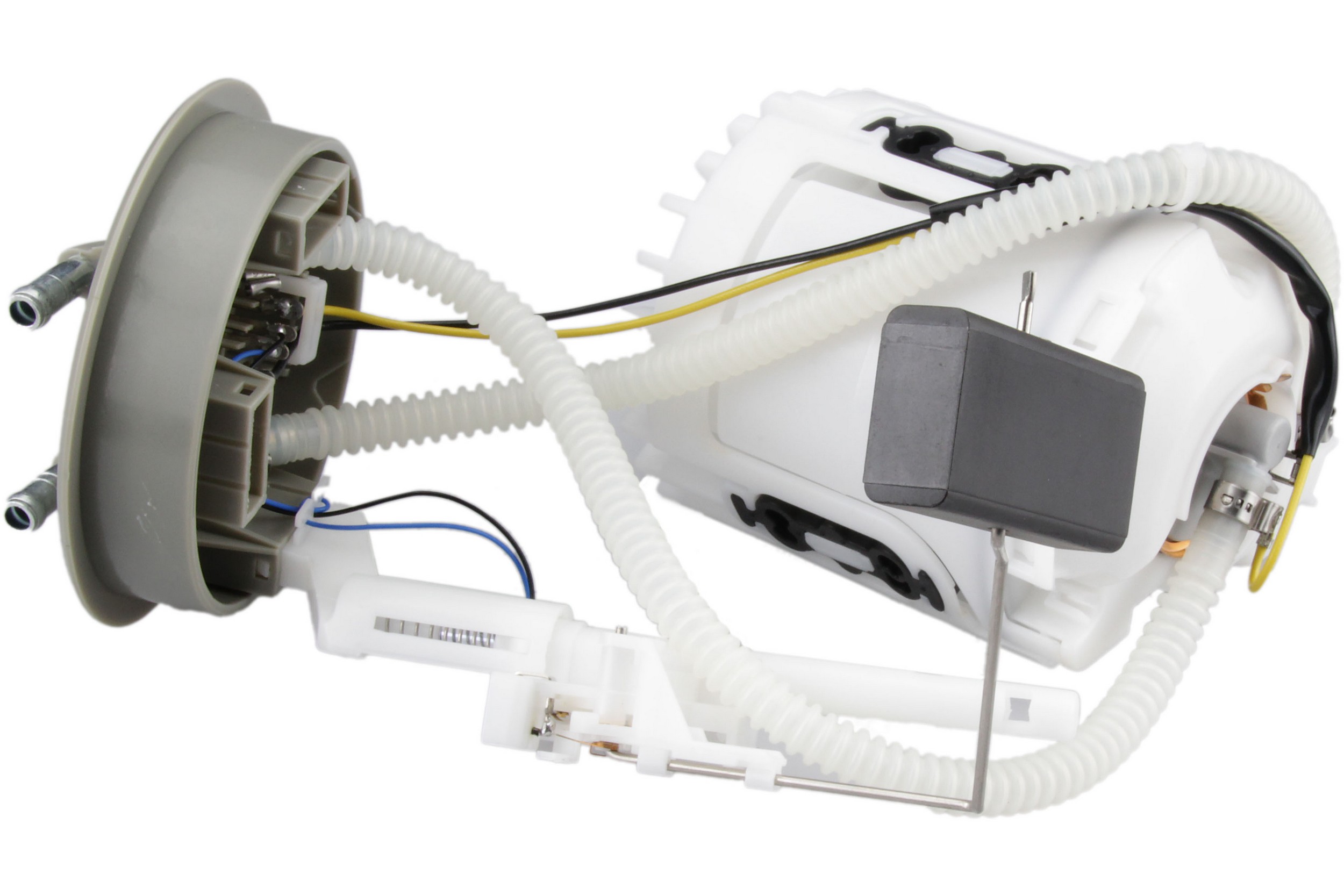 Fuel Pump Assembly