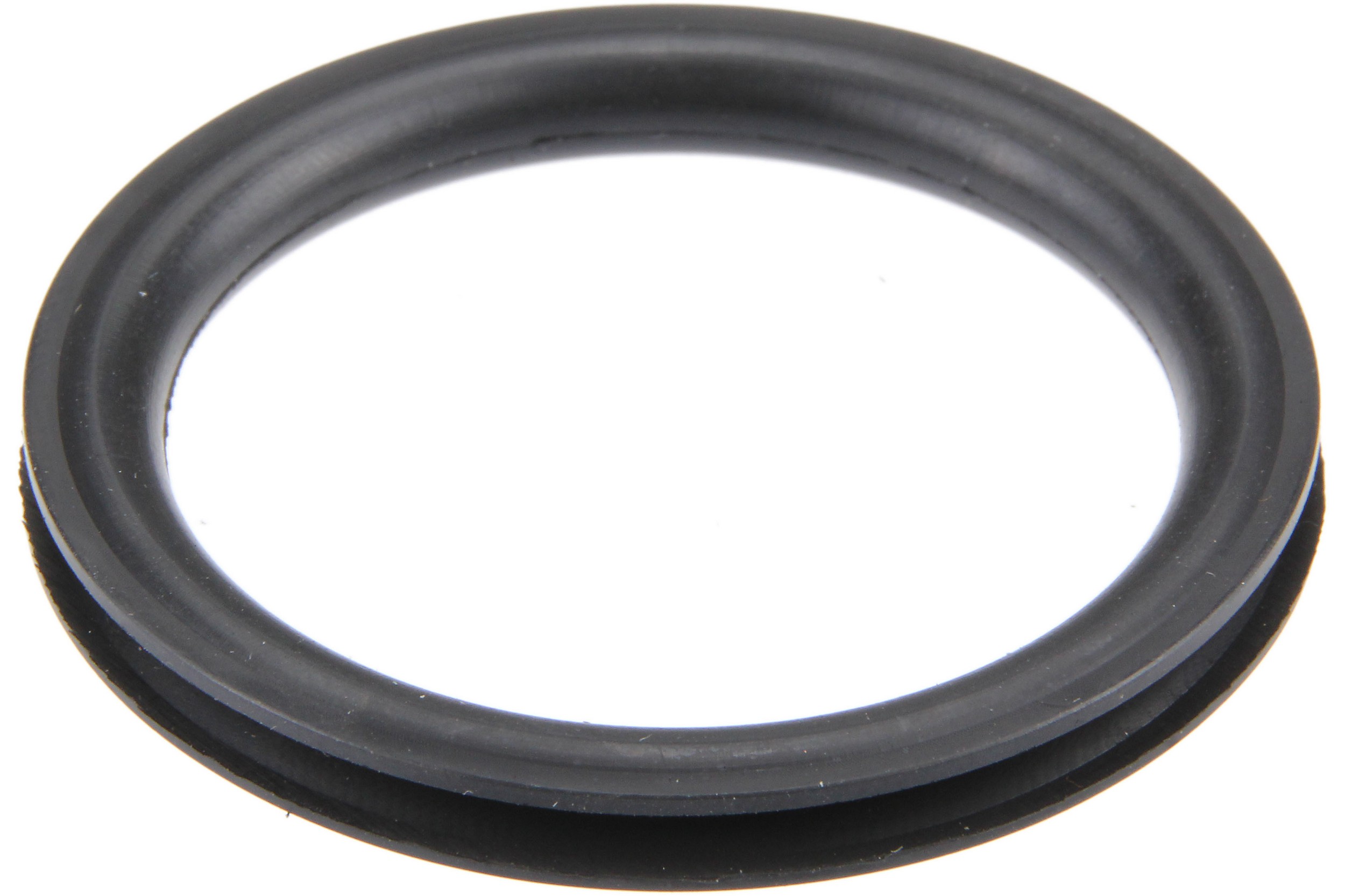 Fuel Tank Cap Seal