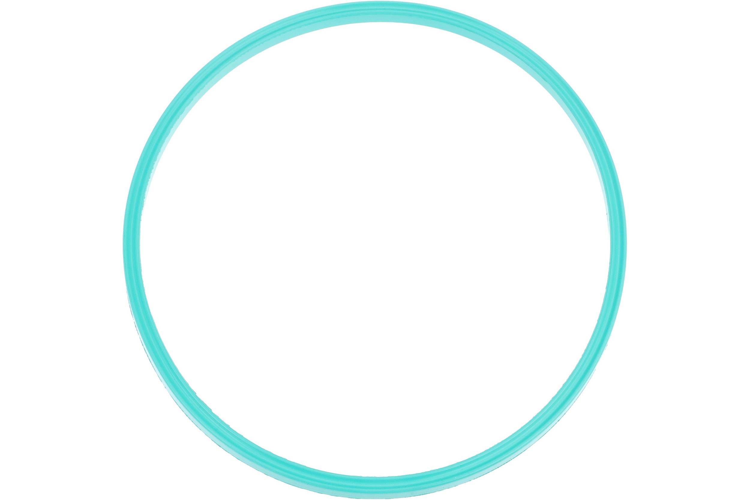 Fuel Pump Assembly O-Ring