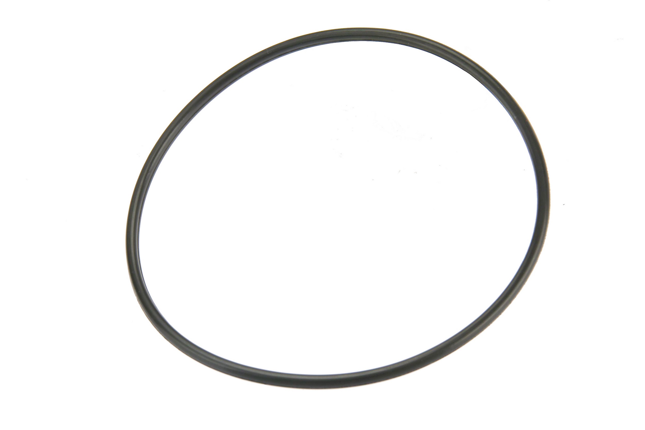 Fuel Pump Assembly Sealing O-Ring