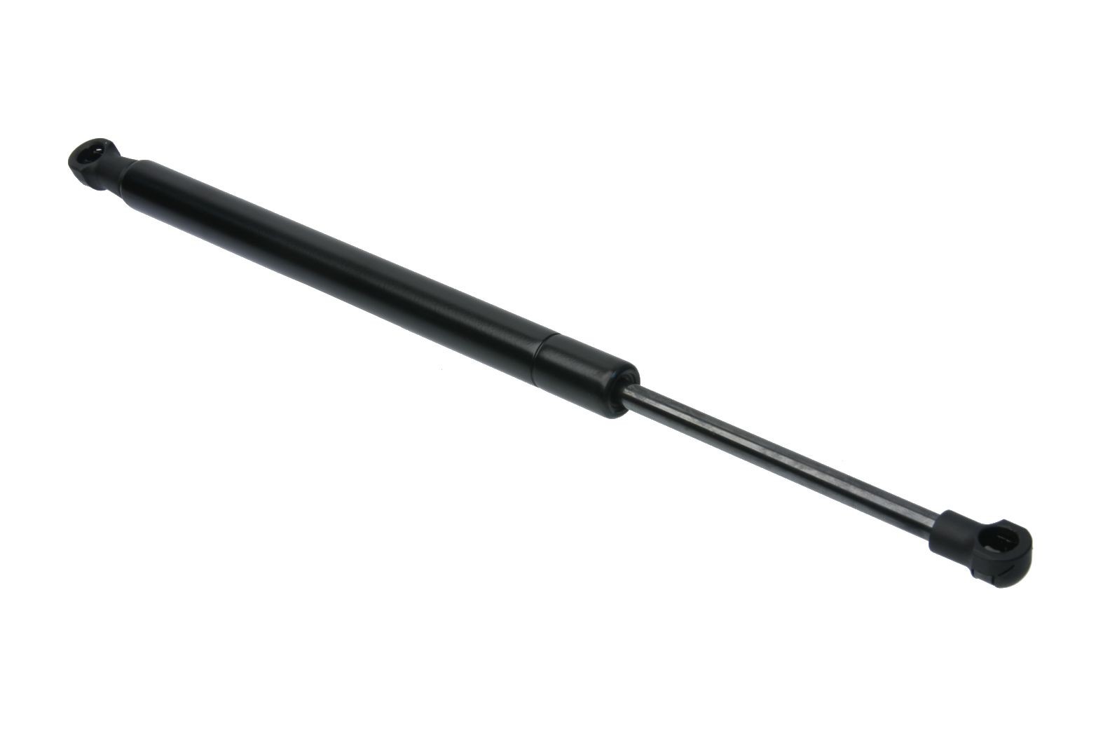Trunk Strut