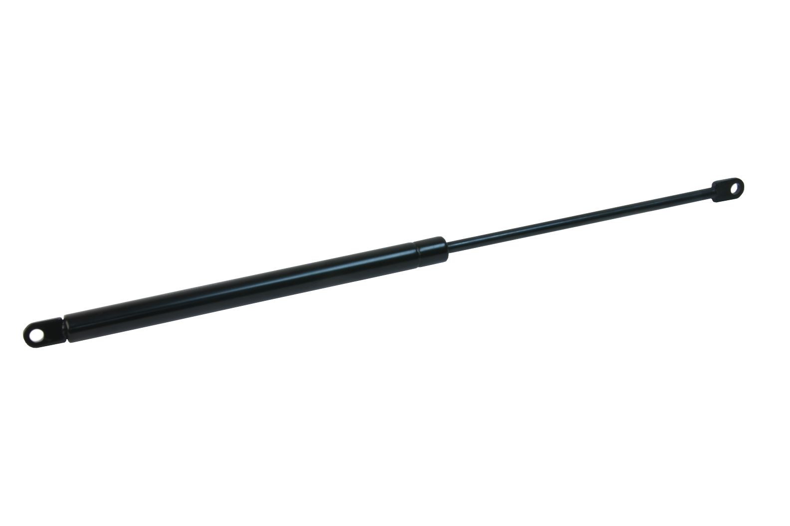 Trunk Strut