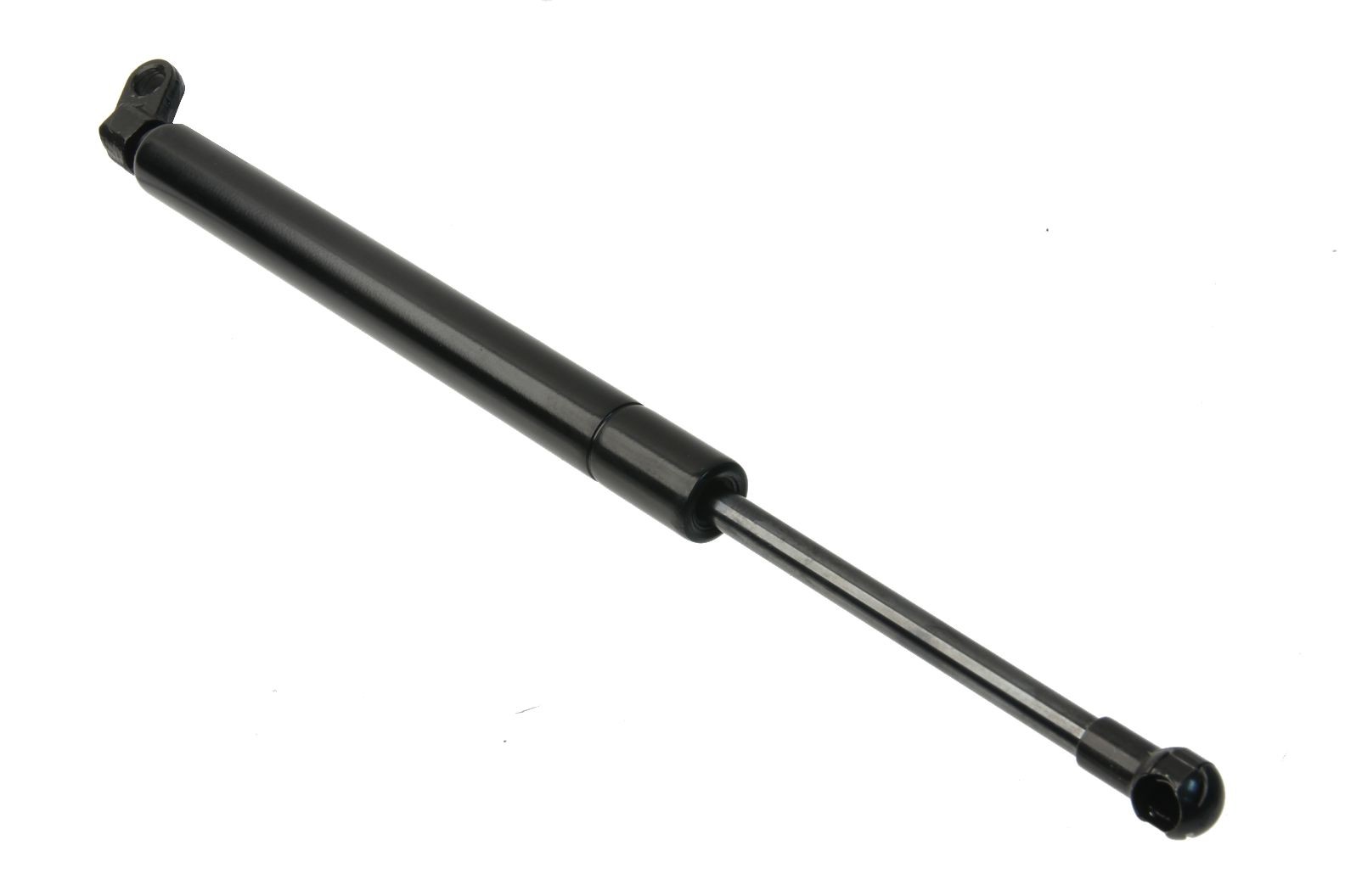 Trunk Strut