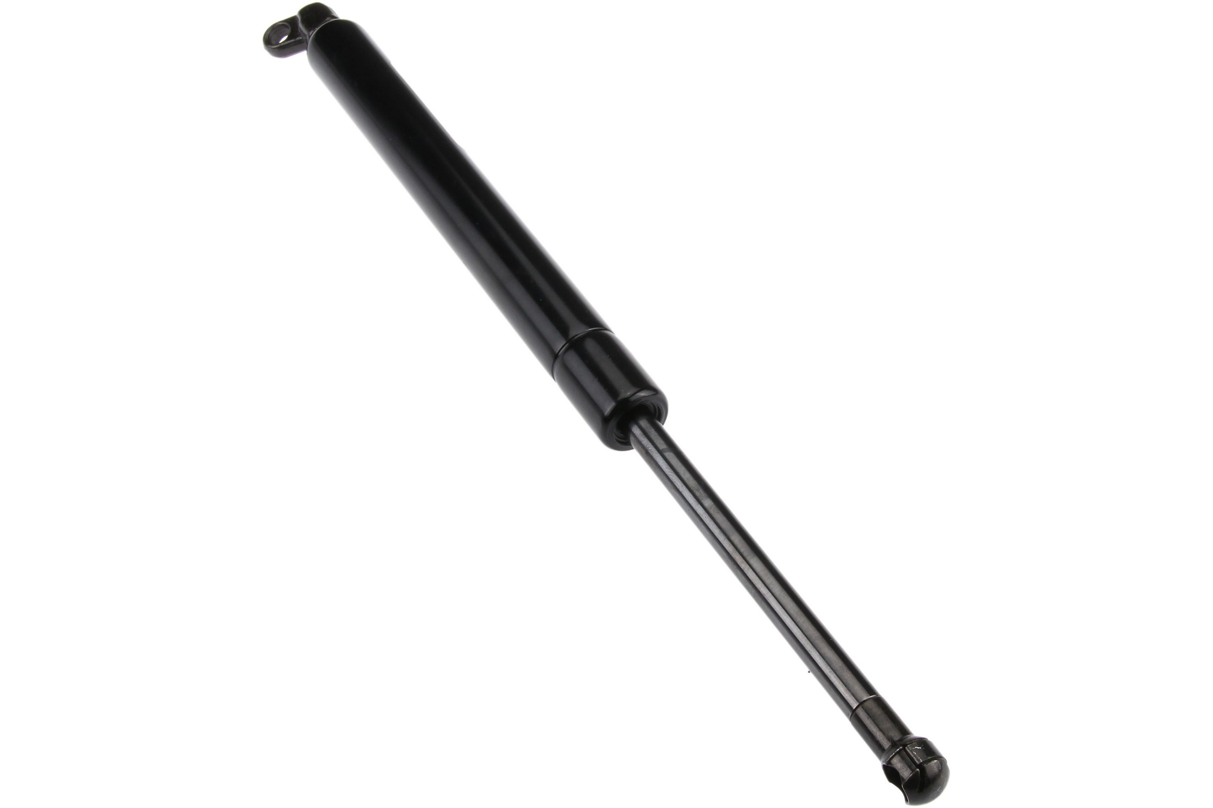 Trunk Strut