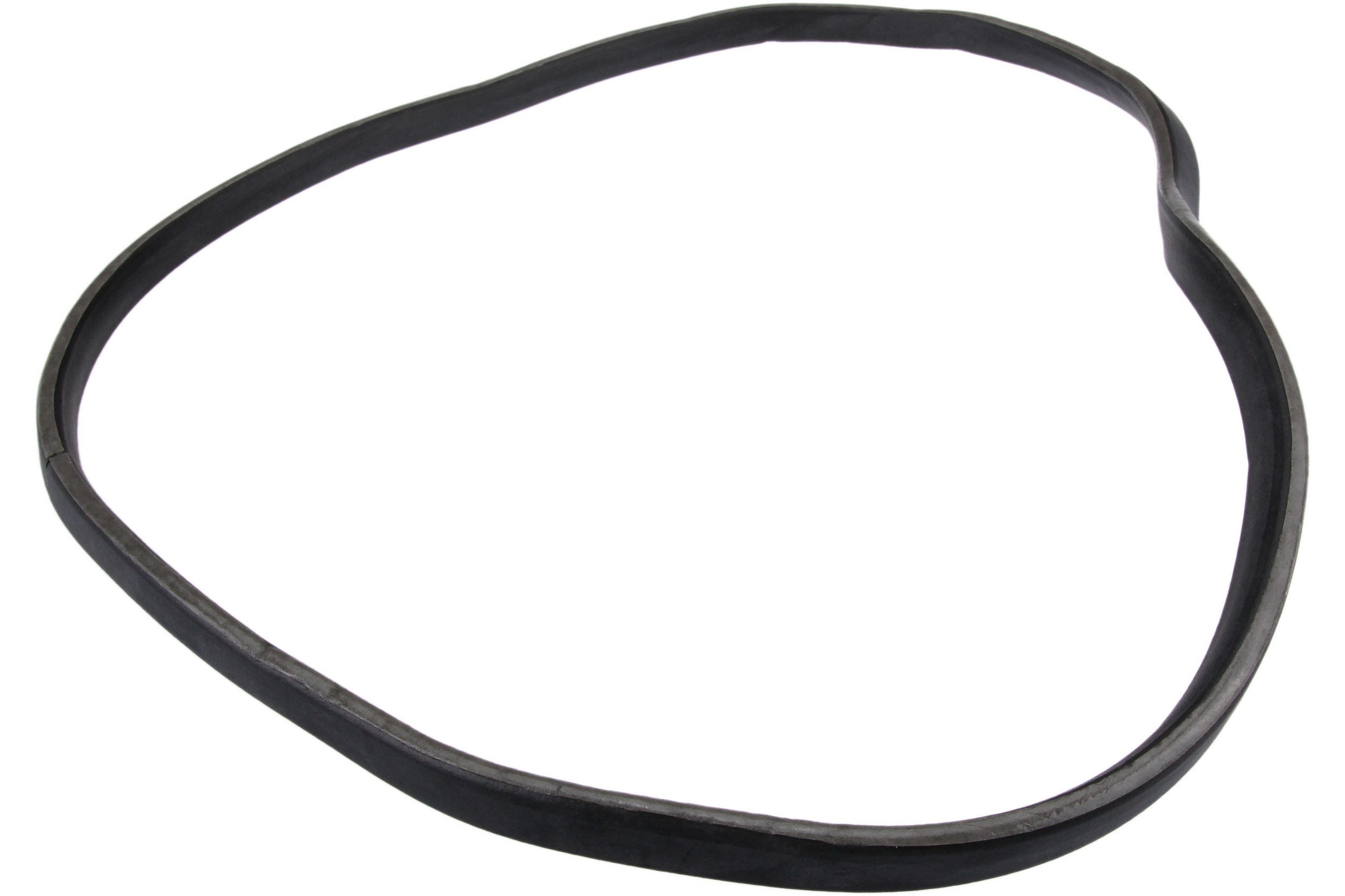 Headlight Lens Gasket