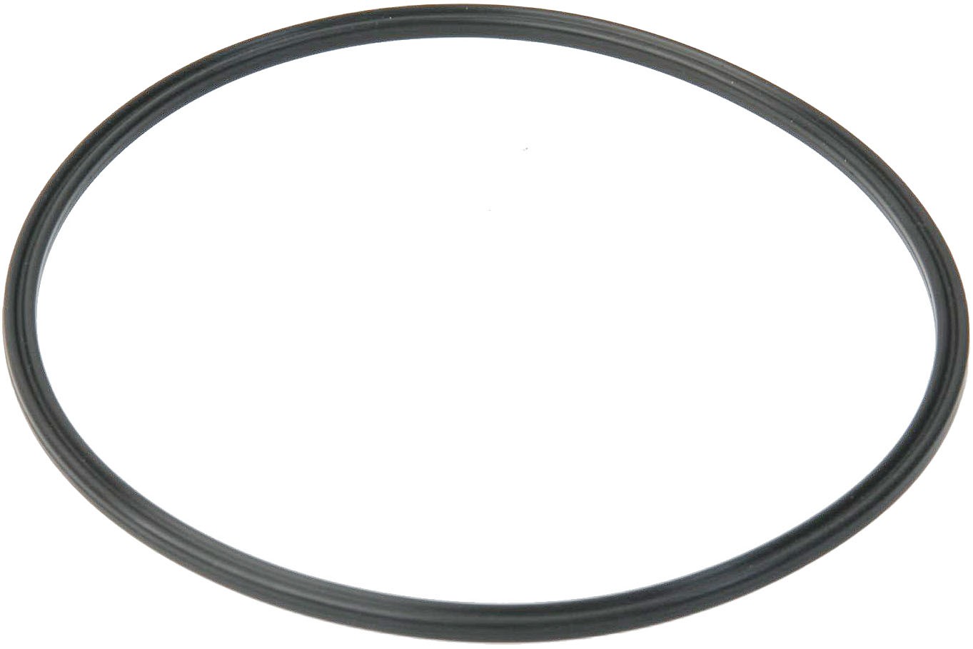 Fuel Pump Assembly O-Ring