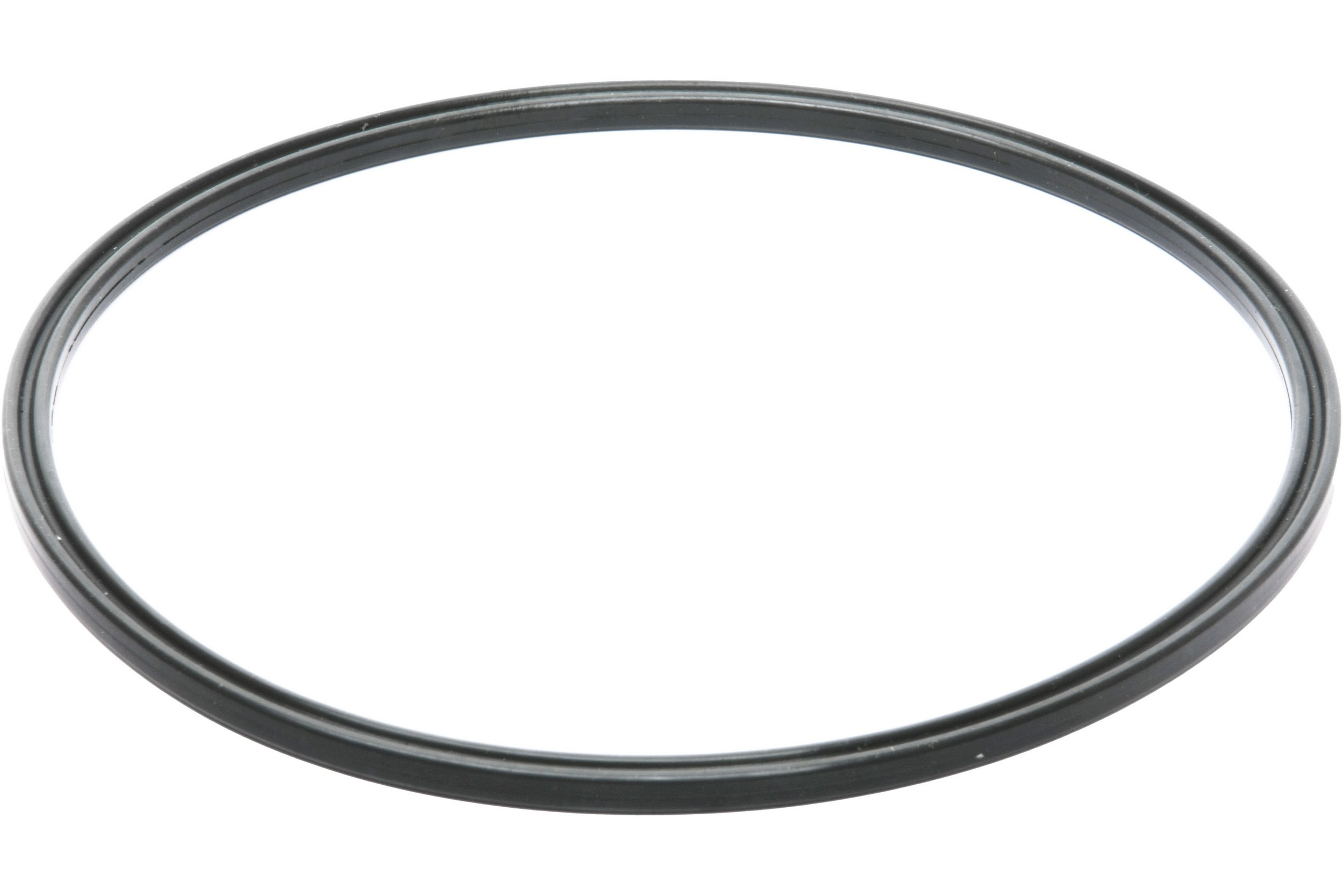 Fuel Pump O-Ring