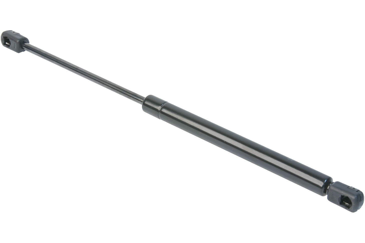 Trunk Strut