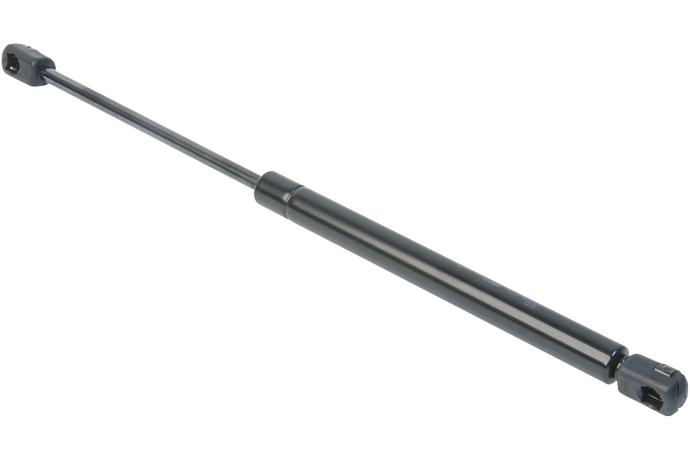 Trunk Strut