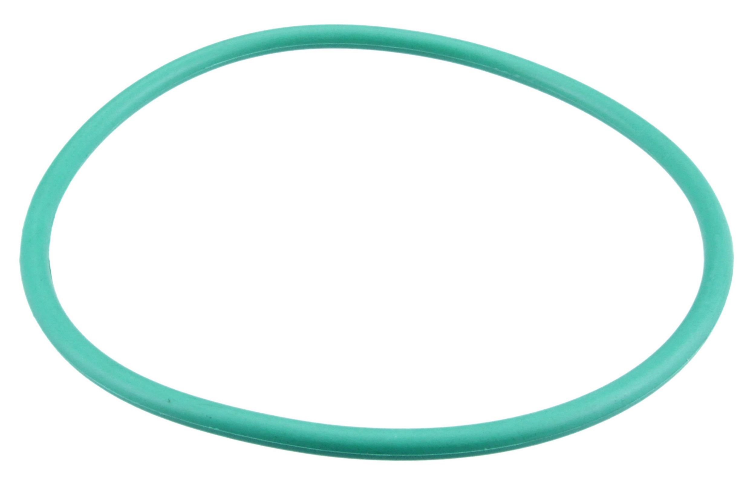 Fuel Pump O-Ring