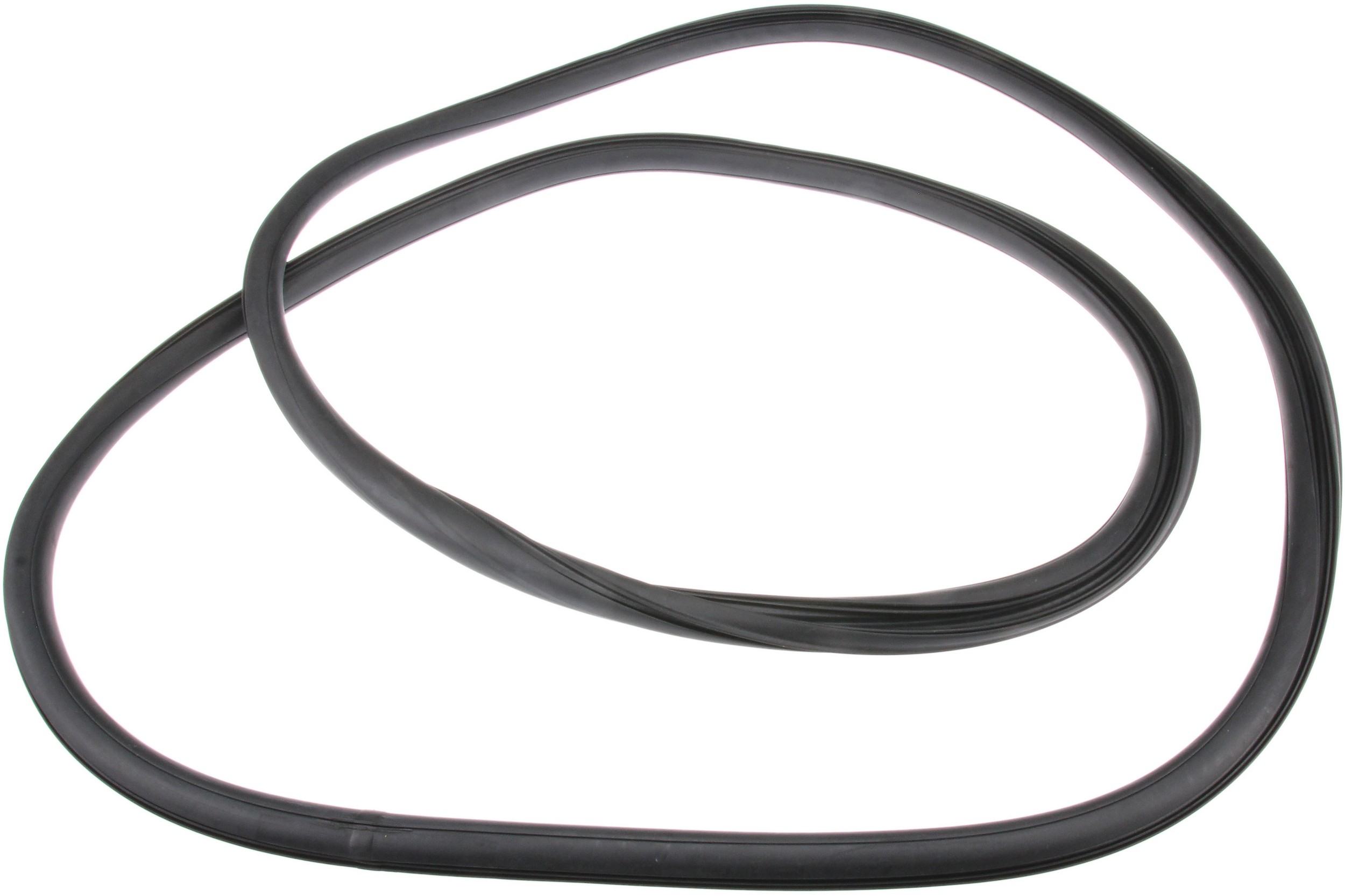 Windshield Seal