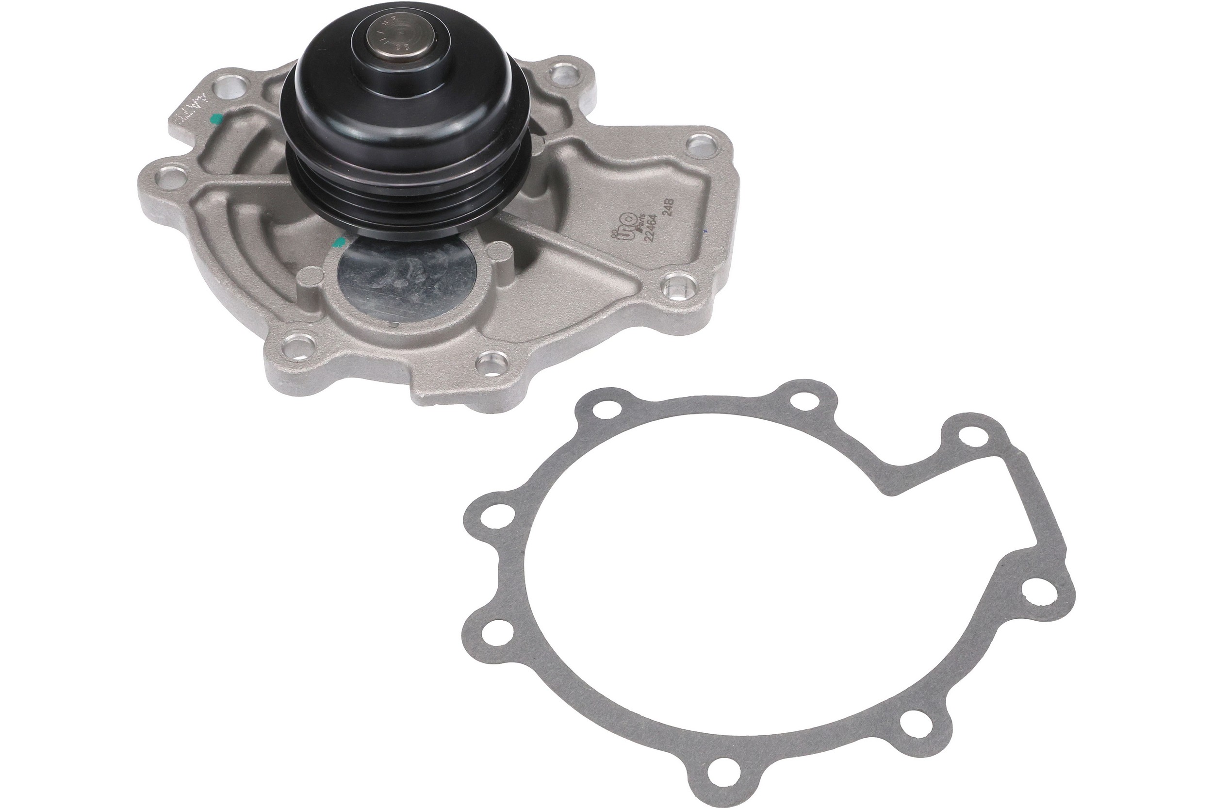 Water Pump w/Gasket