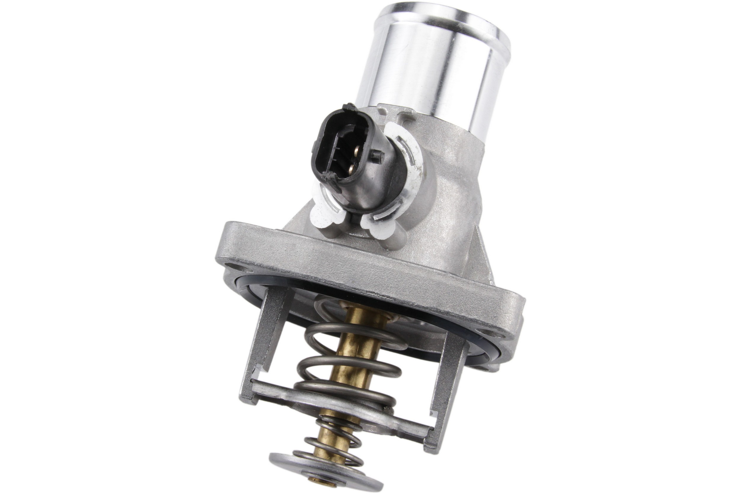 Thermostat Assembly
