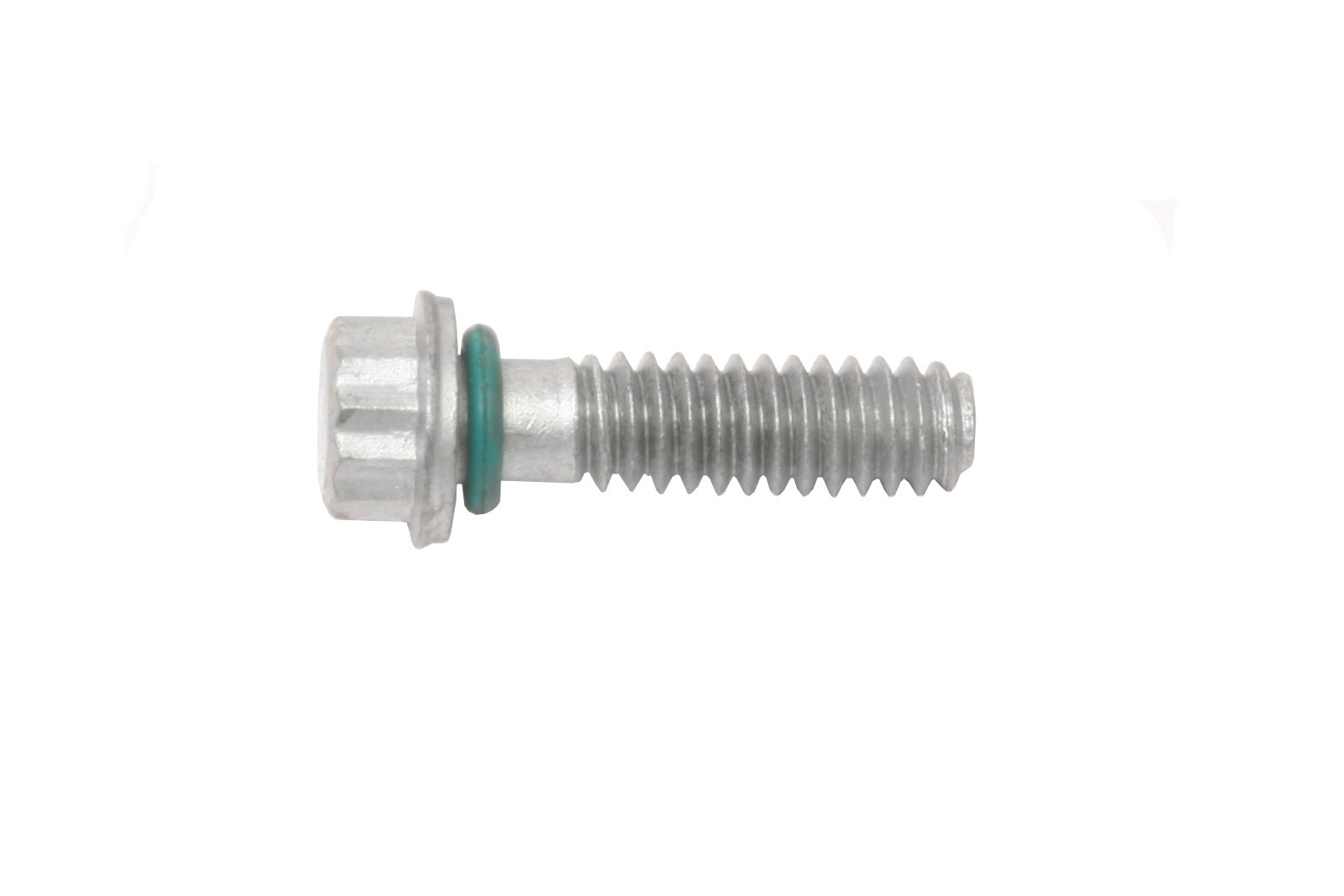 Valve Cover Screw