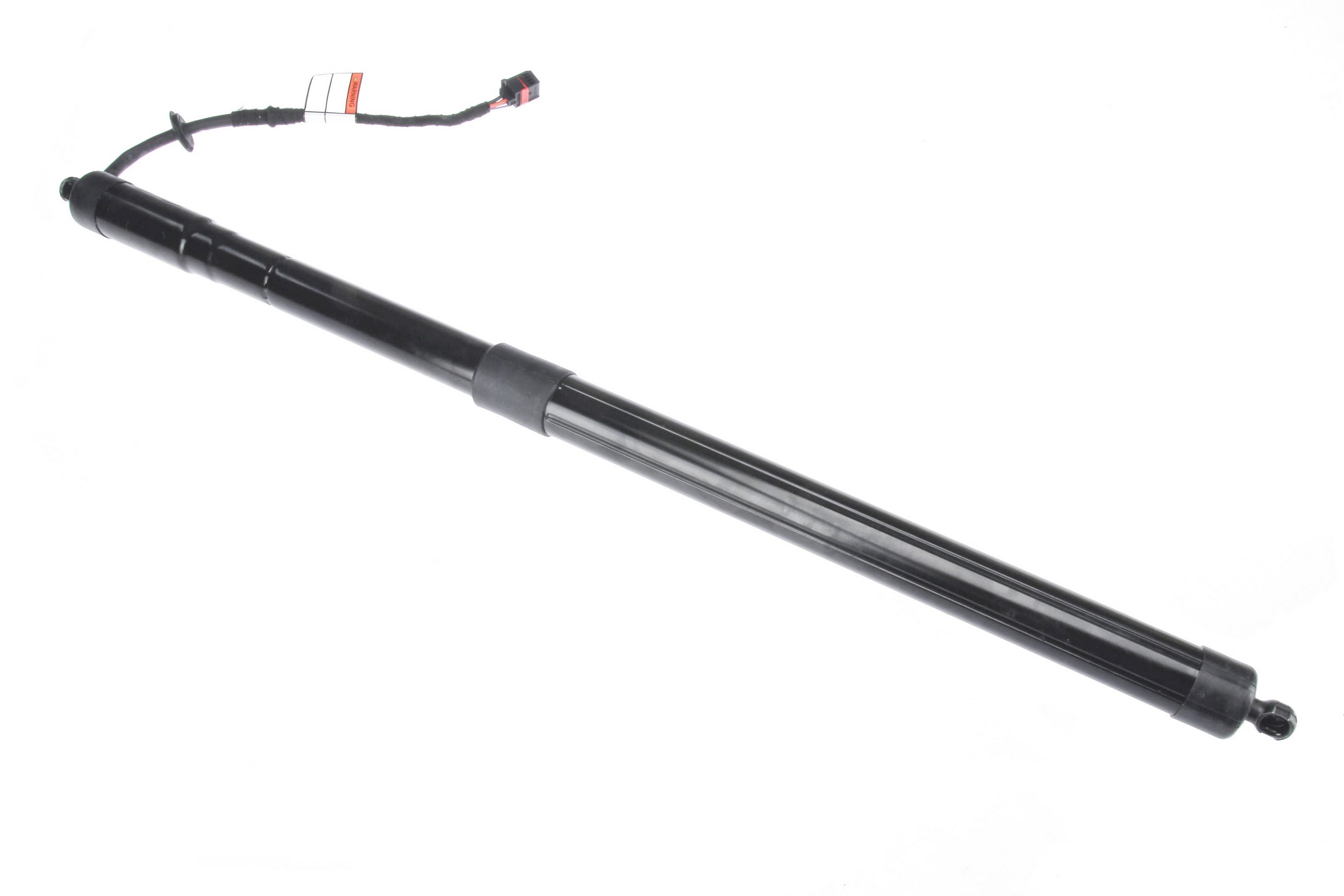 Tailgate Strut