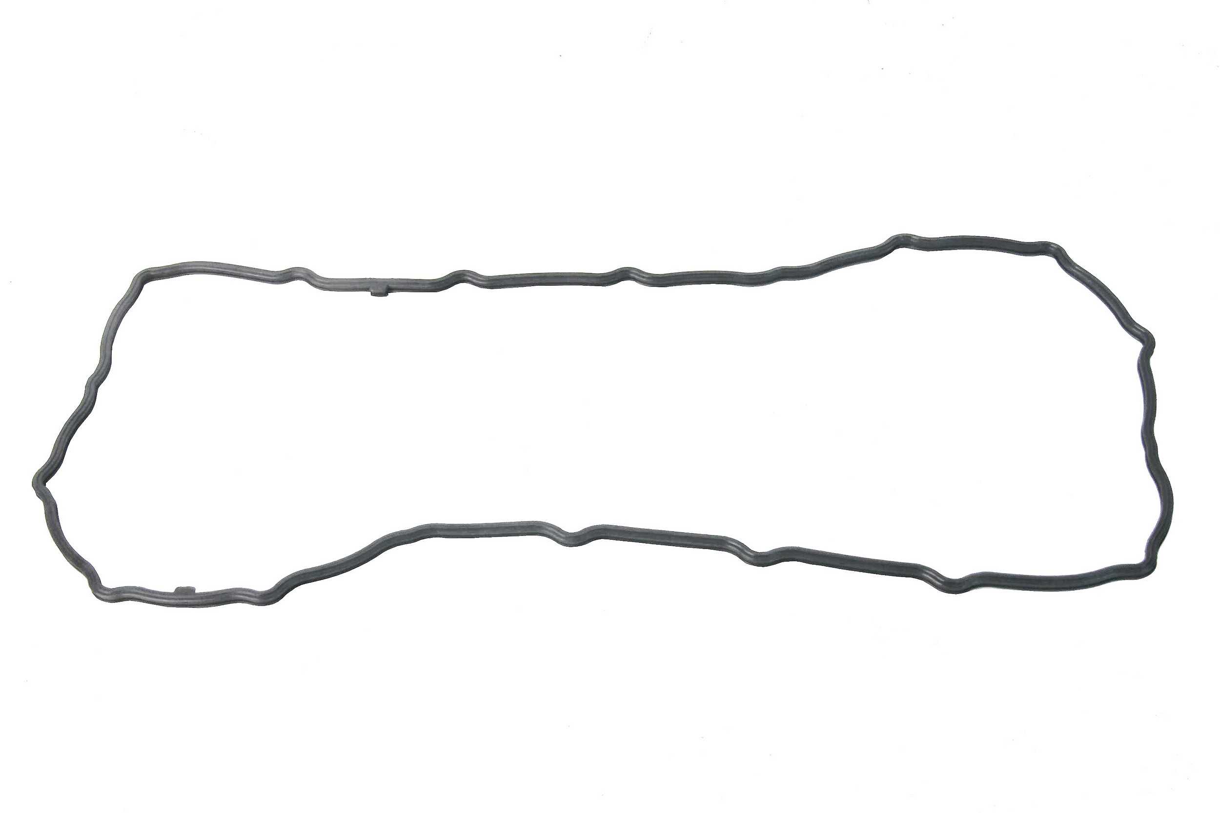 Engine Oil Pan Gasket