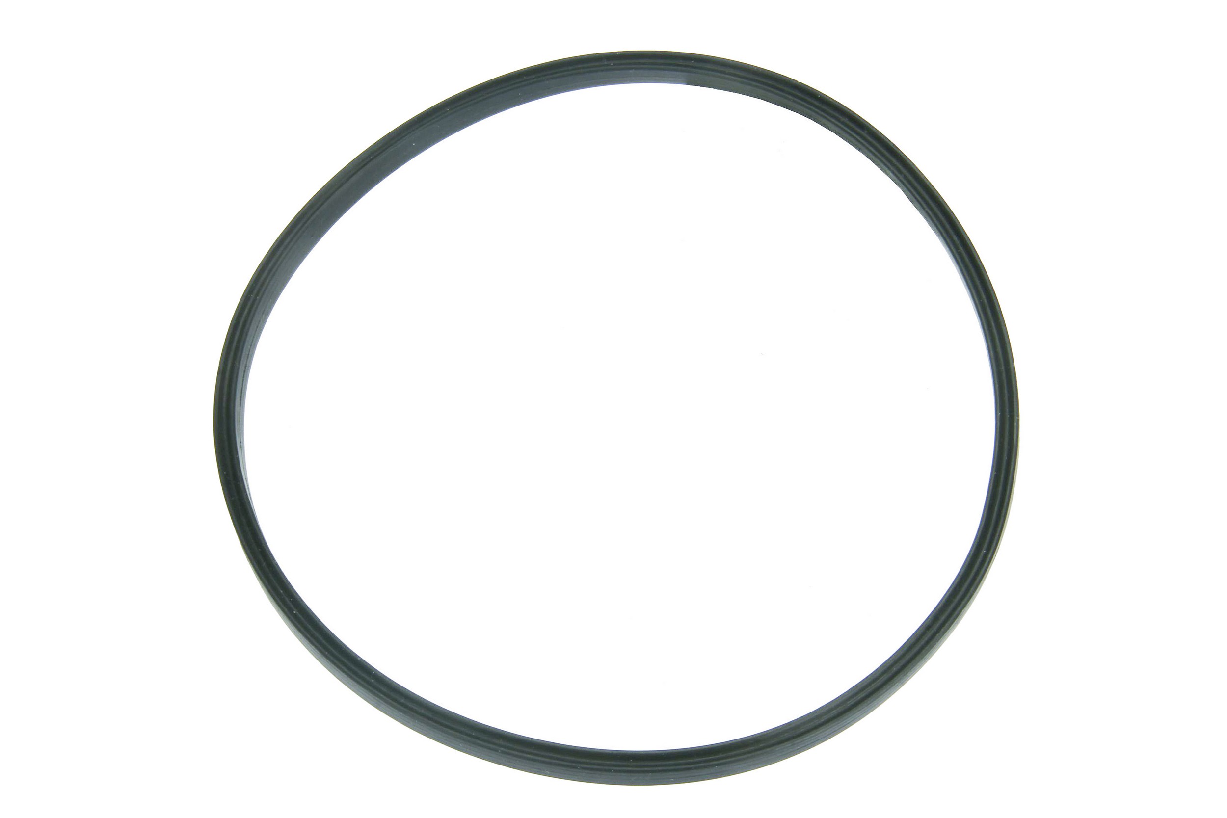 Fuel Pump Seal