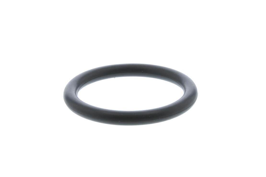 Seal Ring, radiator cap bolt