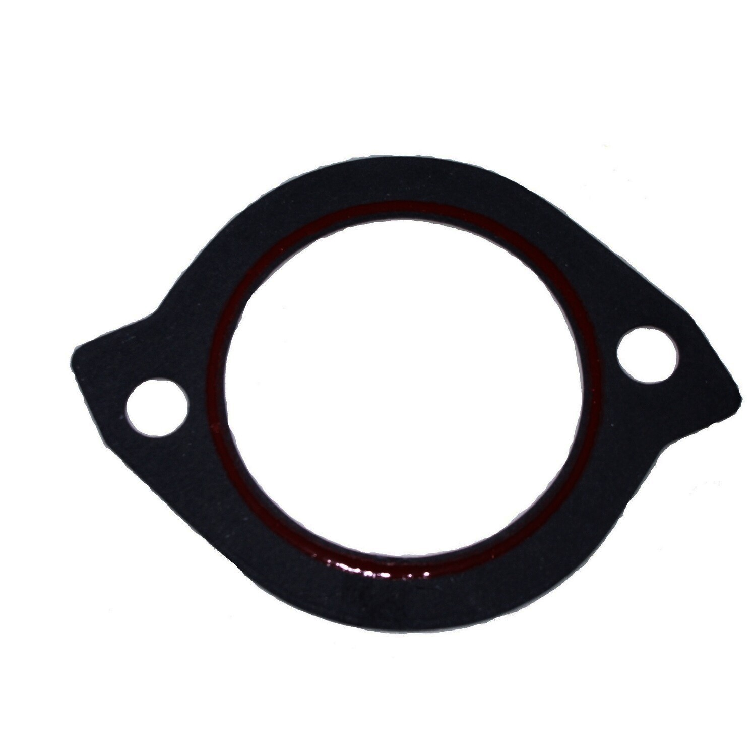 Thermostat Gasket