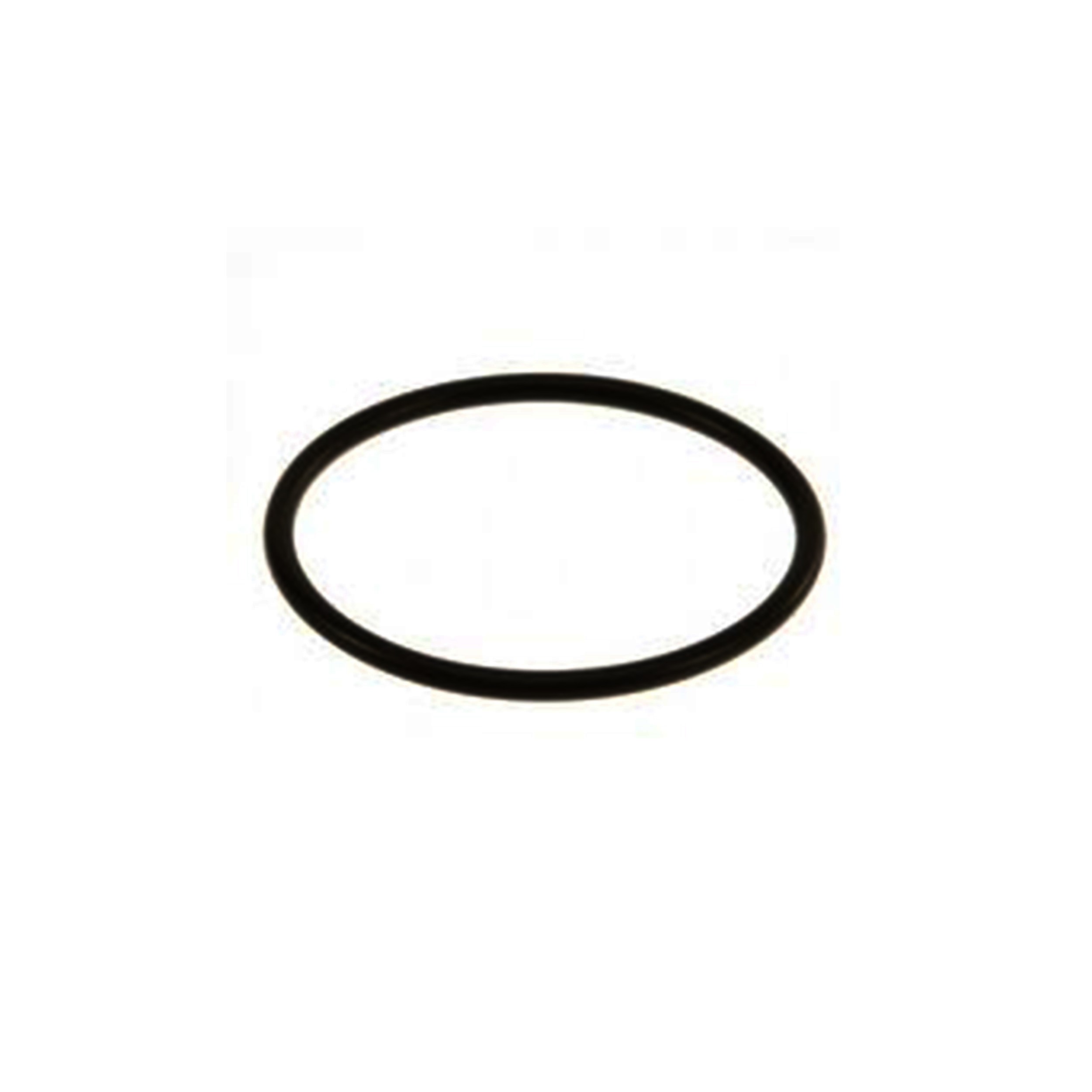 Thermostat Seal