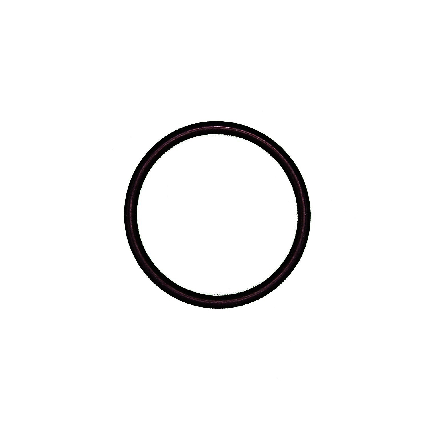 Thermostat Seal