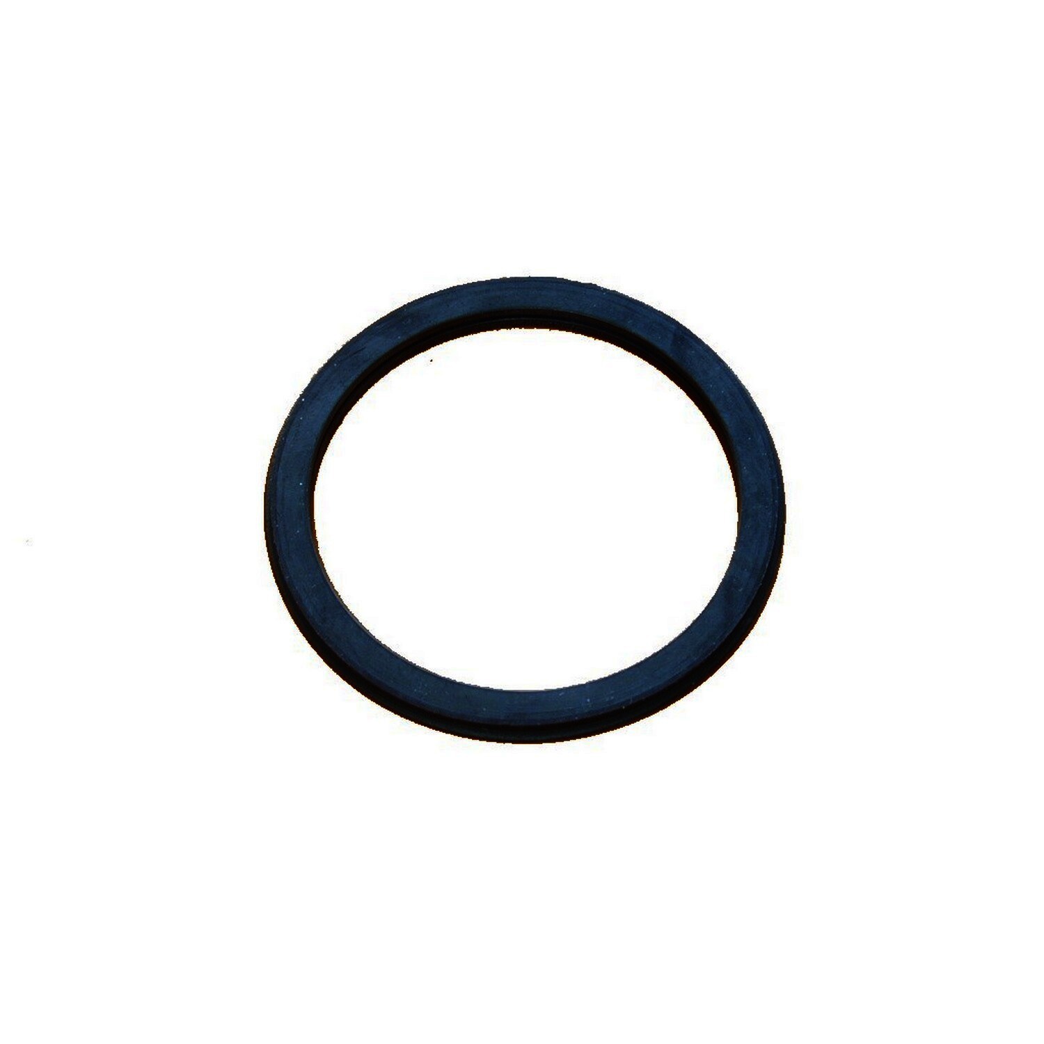 Thermostat Seal