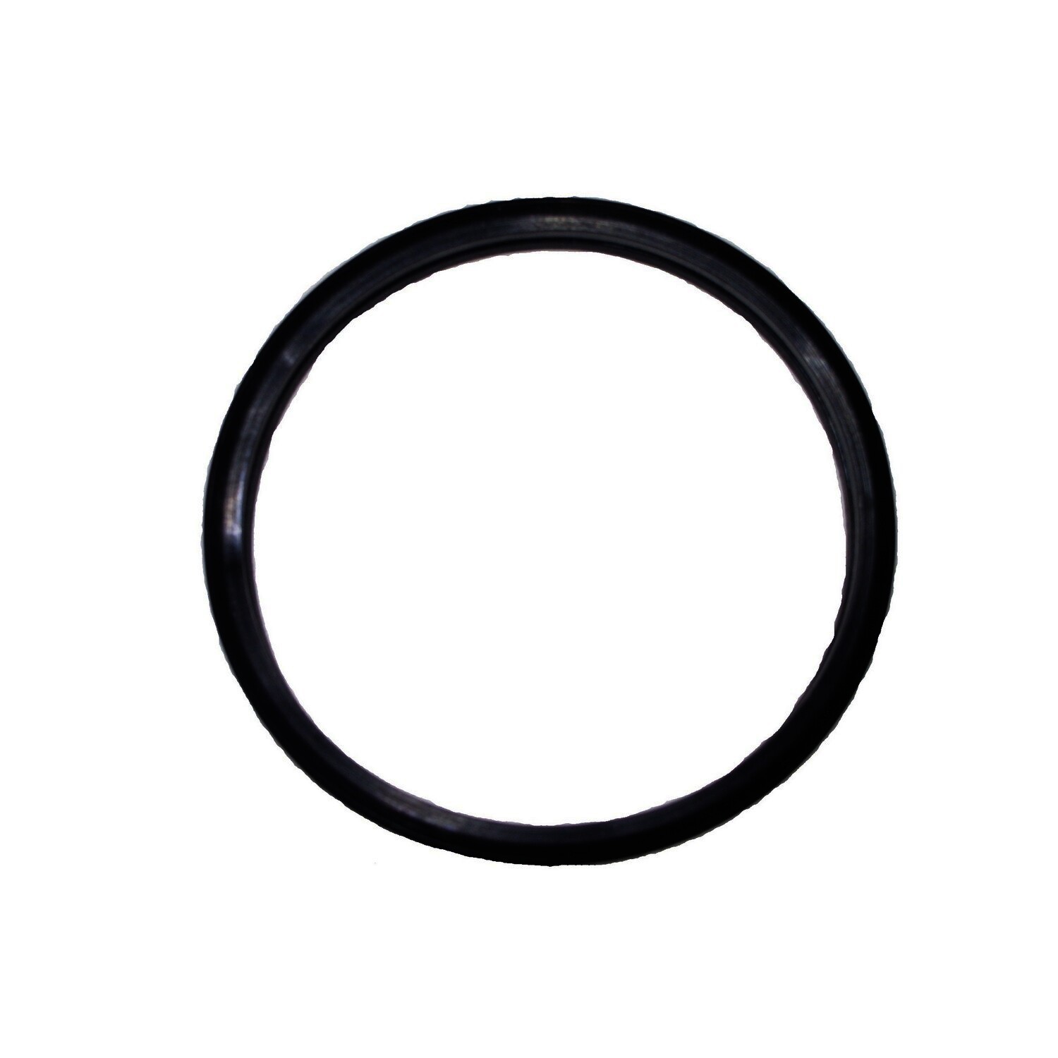 Thermostat Seal